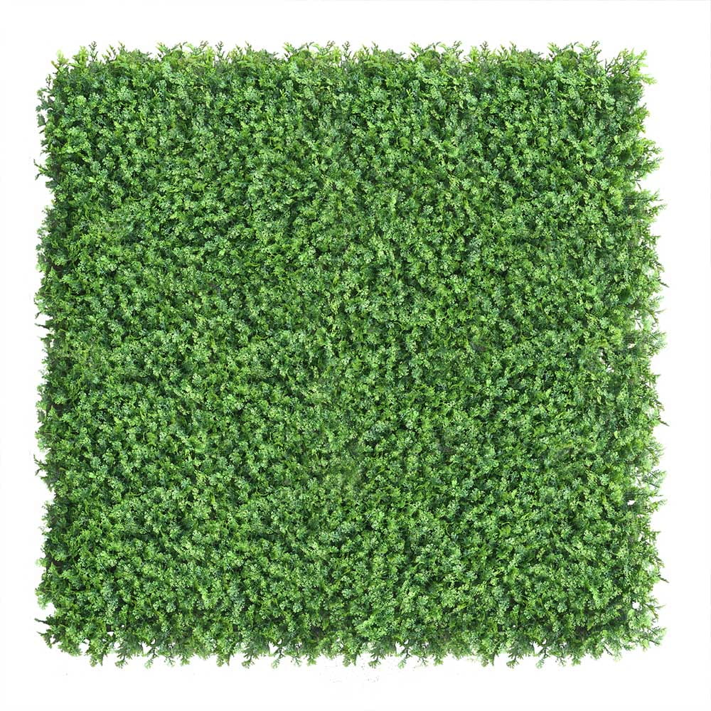 Mur végétal Thuya 50x50cm – Green Designers