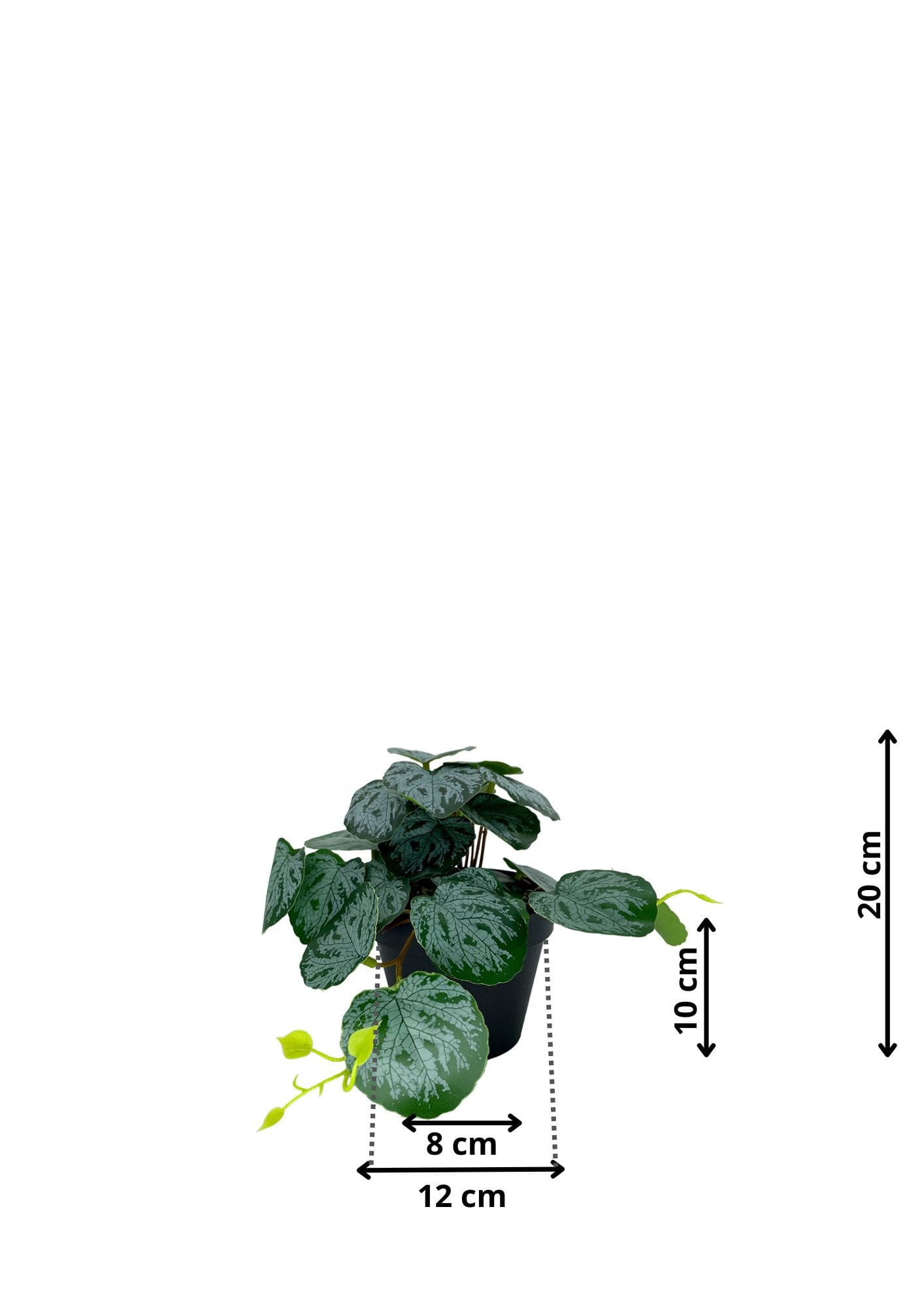 Plante Pilea artificielle 20 cm – Green Designers