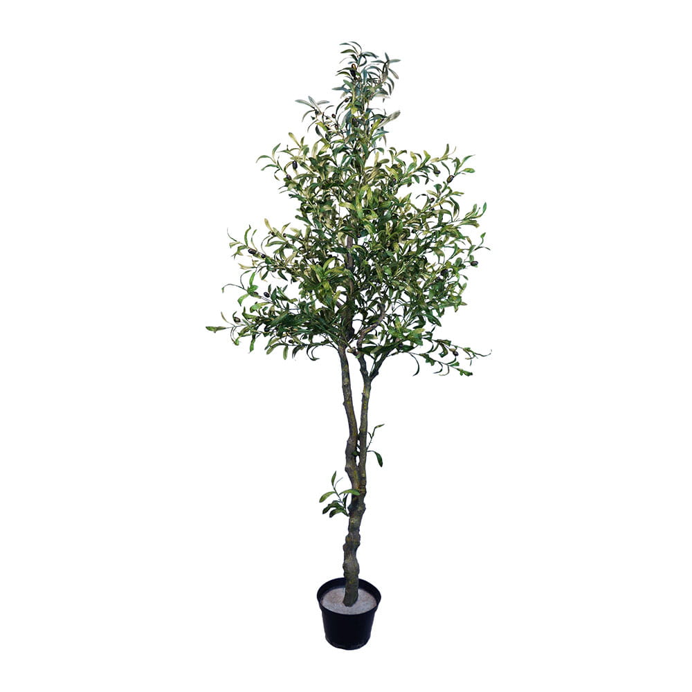 Olivier artificiel Olive 210cm