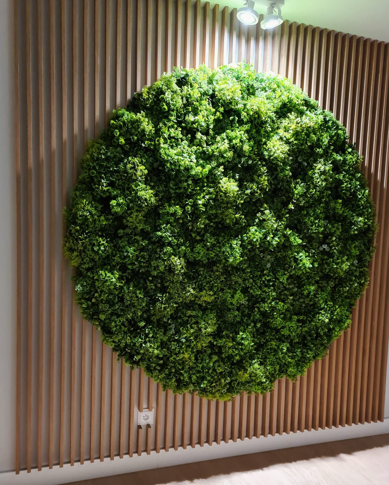 Jardin vertical en maille de mousse – Green Designers