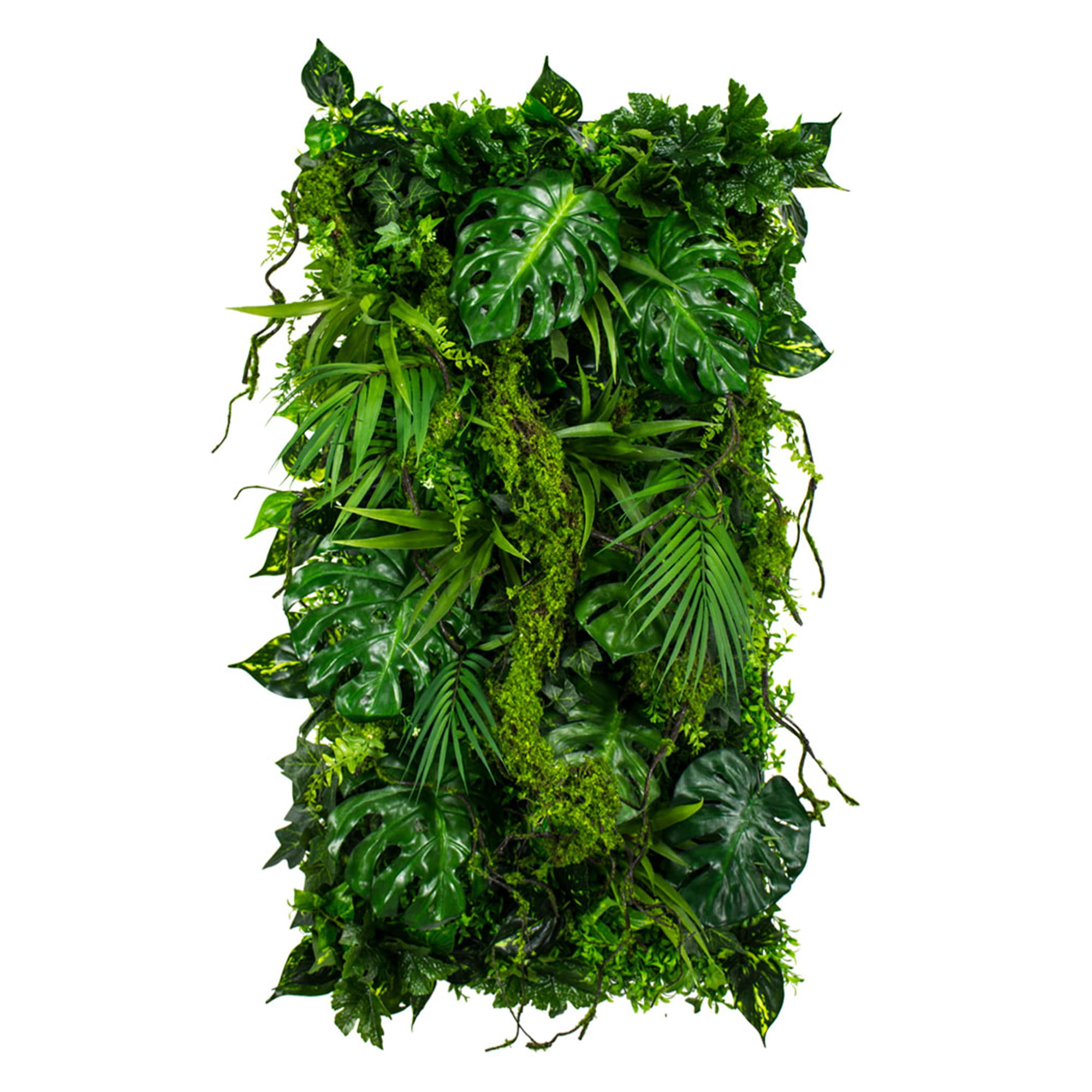 Jardin vertical Rooth Path – Green Designers