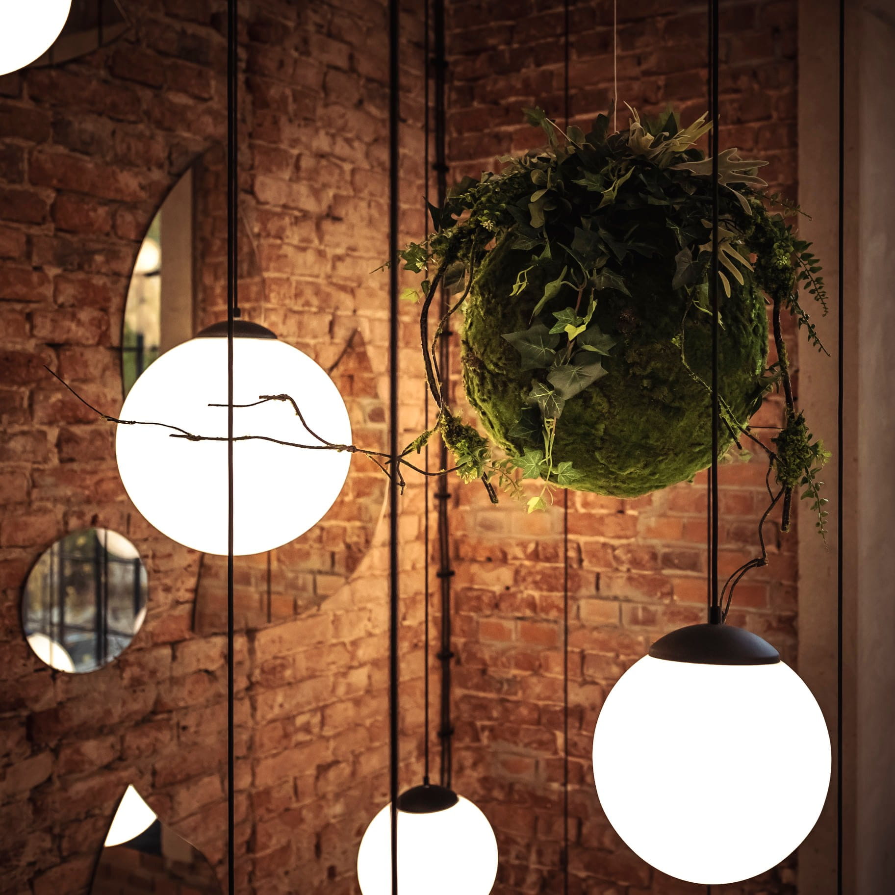 Boule de mousse suspendue Kokedama 35 cm – Green Designers