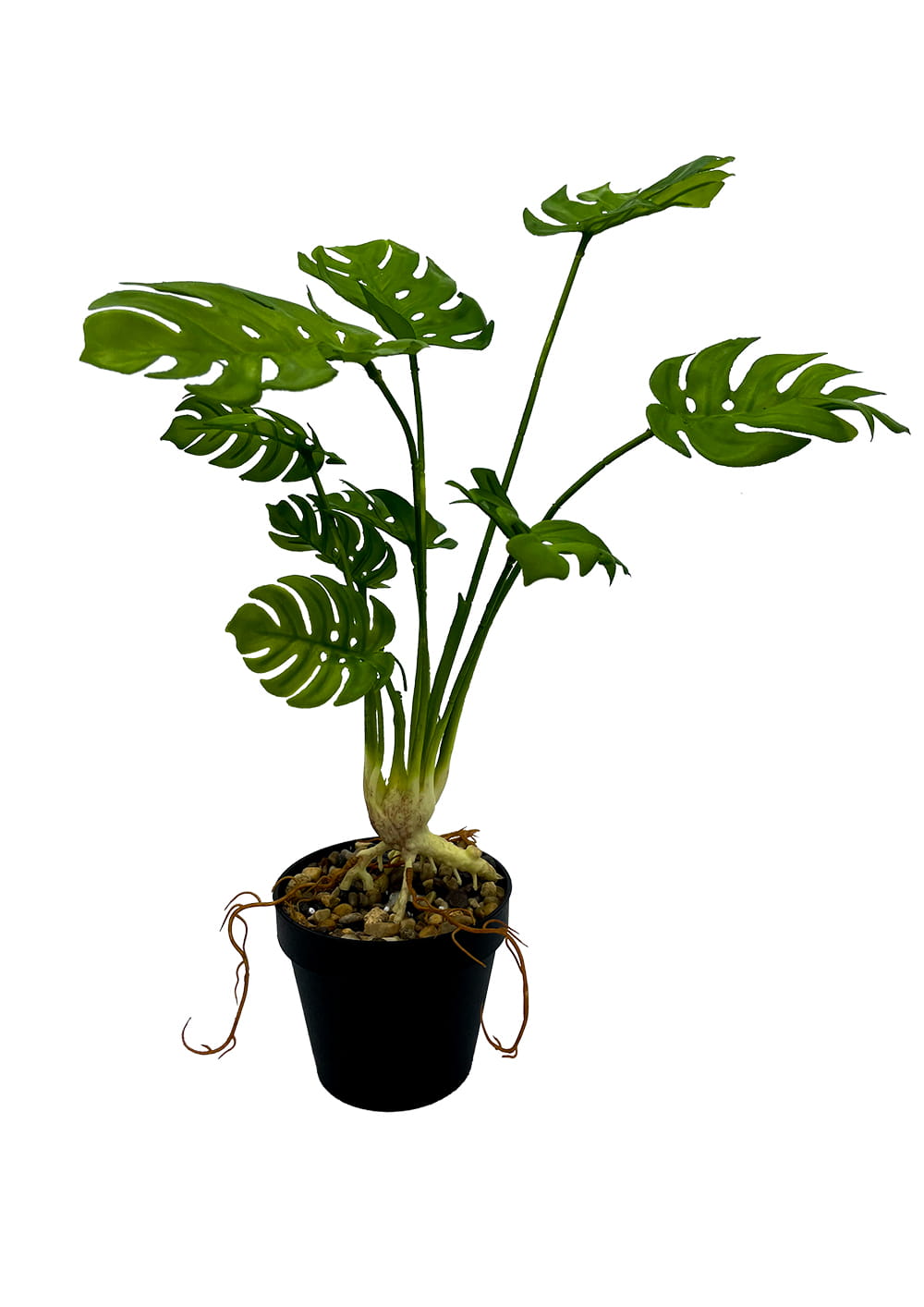 Plante Monstera artificielle 53 cm – Green Designers