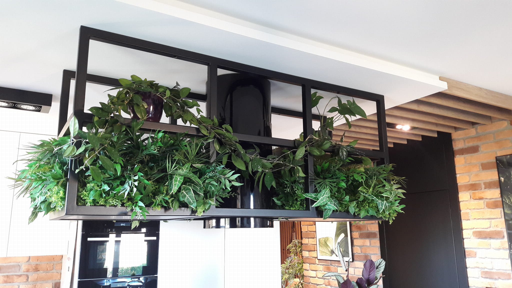 Remplir le pot Season Surf avec des plantes – Green Designers