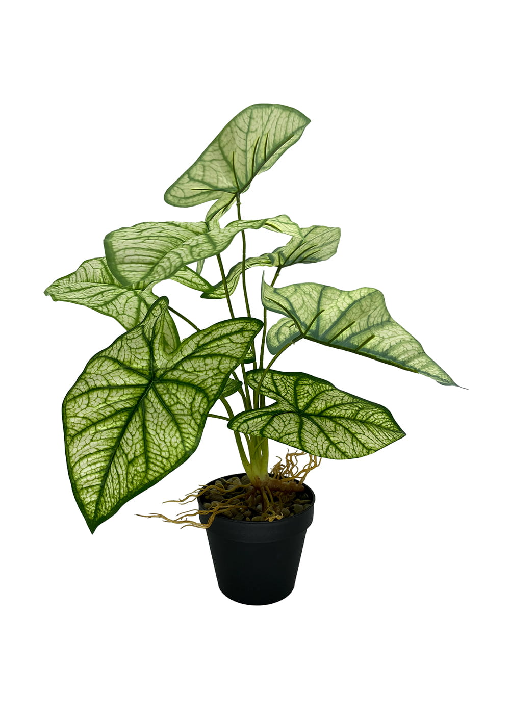 Plante Syngonium artificielle 54 cm