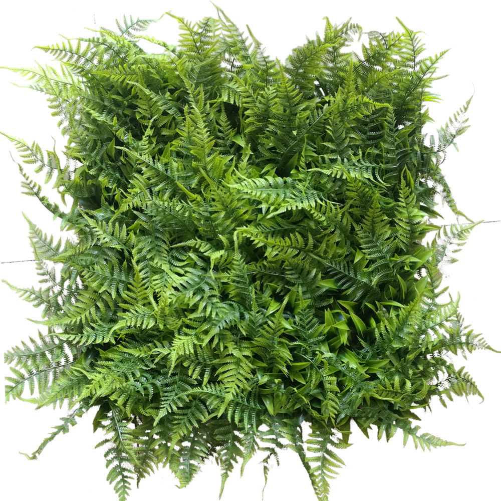 Tapis UV Adiantum vert artificiel 50x50cm – Green Designers