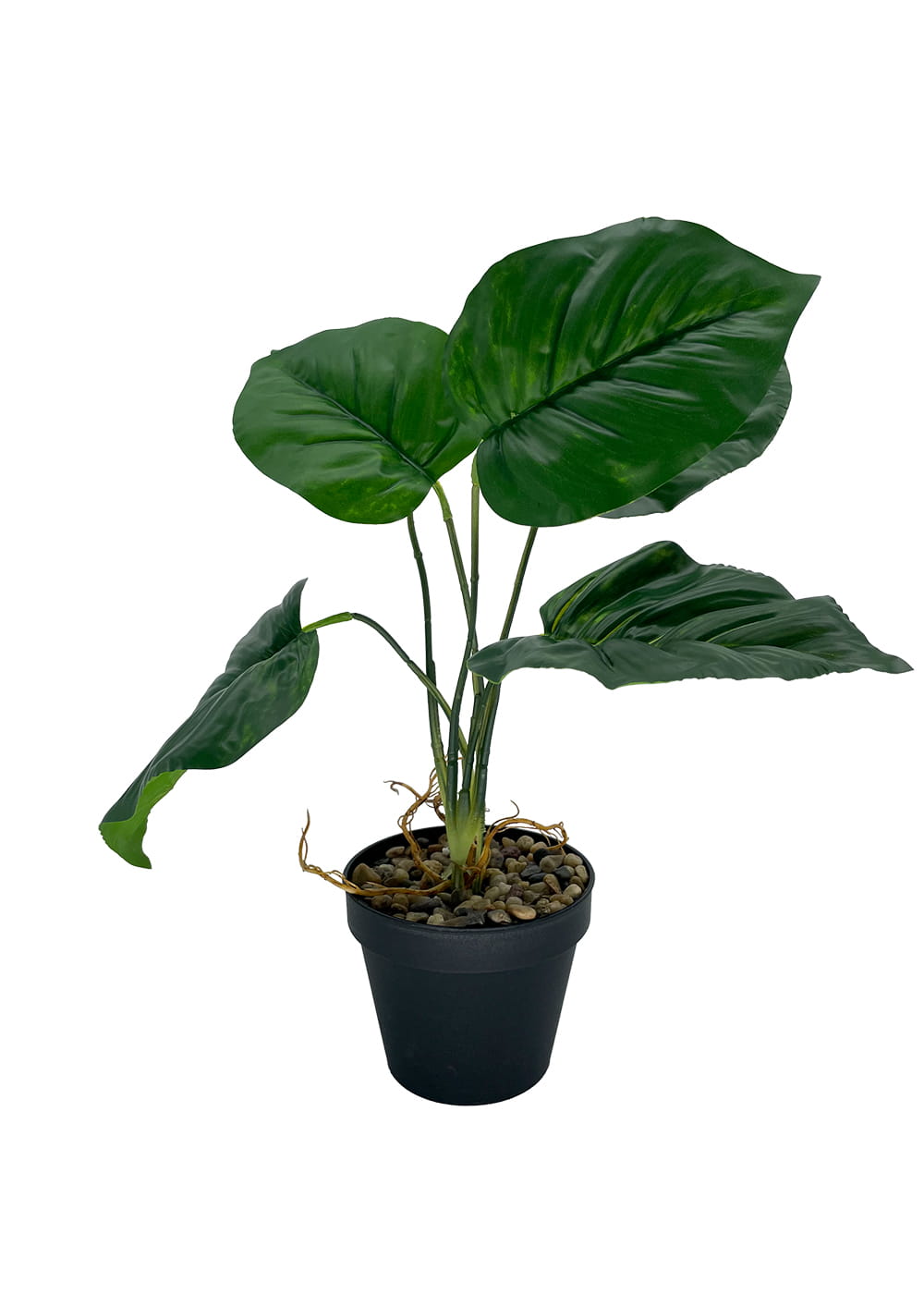 Plante d'arrow-root artificielle 36 cm