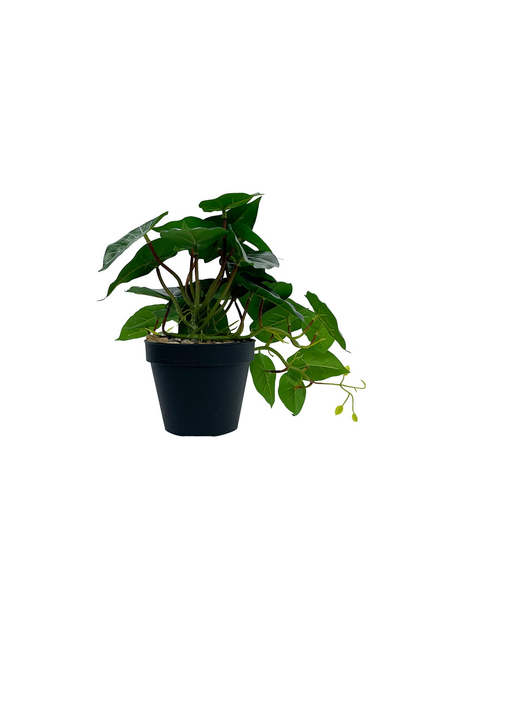 Plante Philodendron artificielle 37 cm – Green Designers