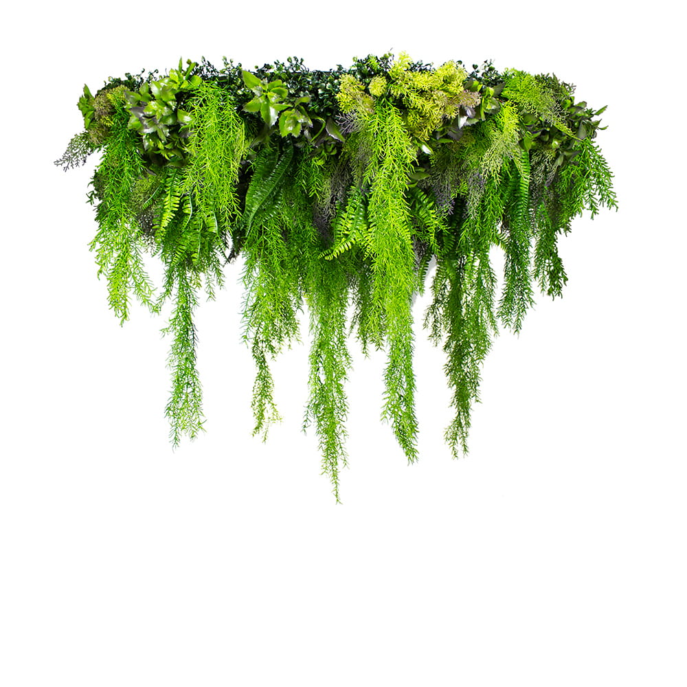 Plafond composé de plantes artificielles Violet Pinch 100 cm