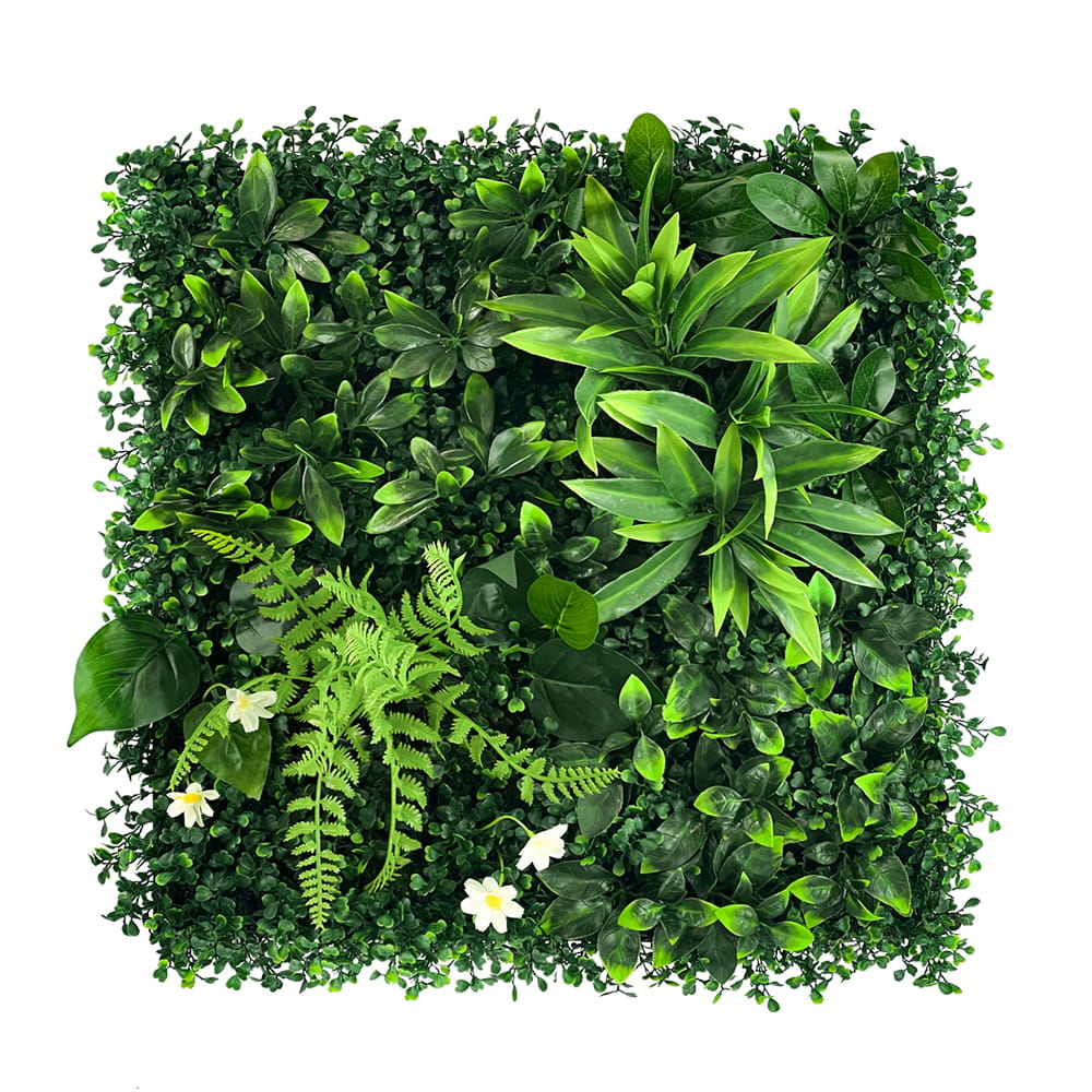 Mur végétal Orchidée 50x50cm – Green Designers