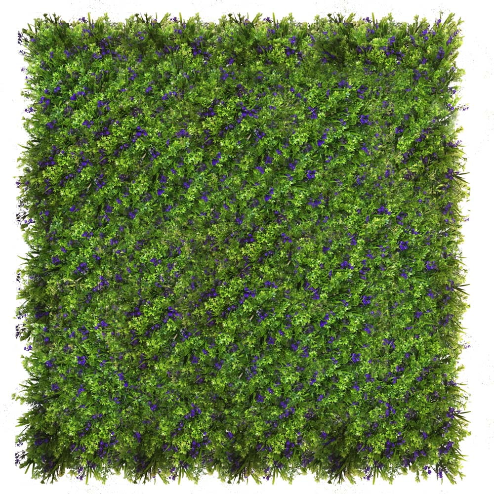 Mur végétal bleuet 50x50cm – Green Designers