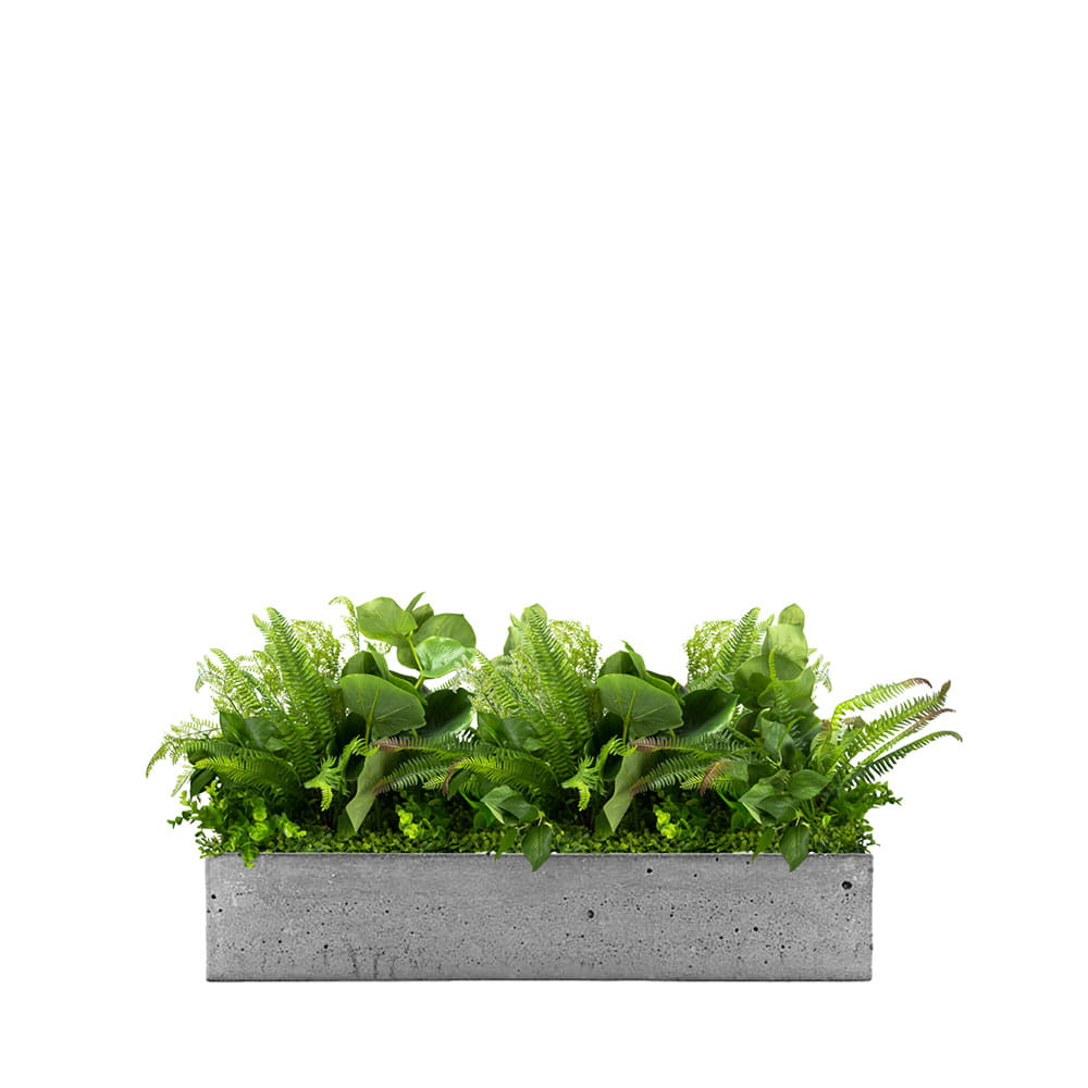 Remplir le pot Fresh Rain avec des plantes
