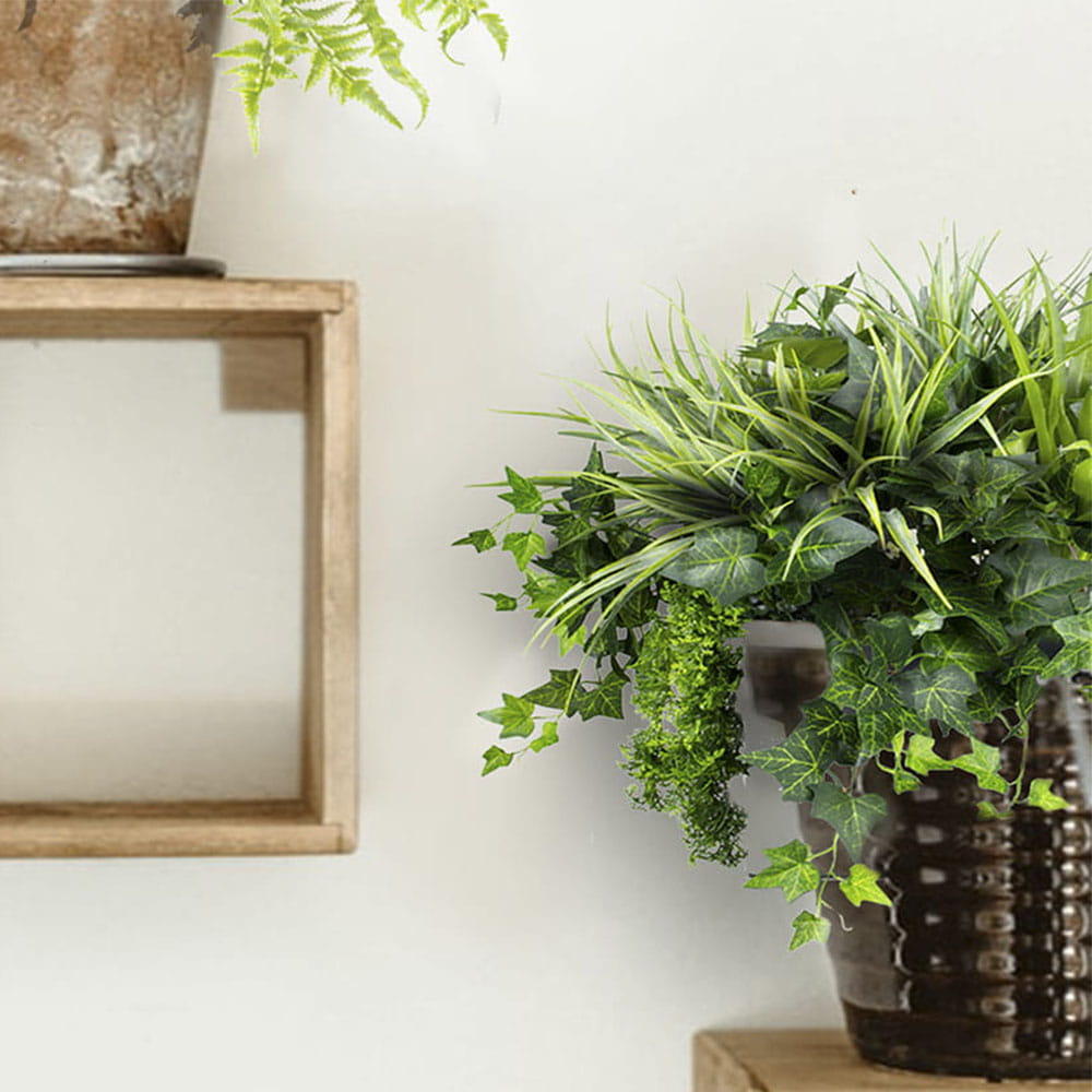 Remplissage végétal pour le pot Blue Jay – Green Designers