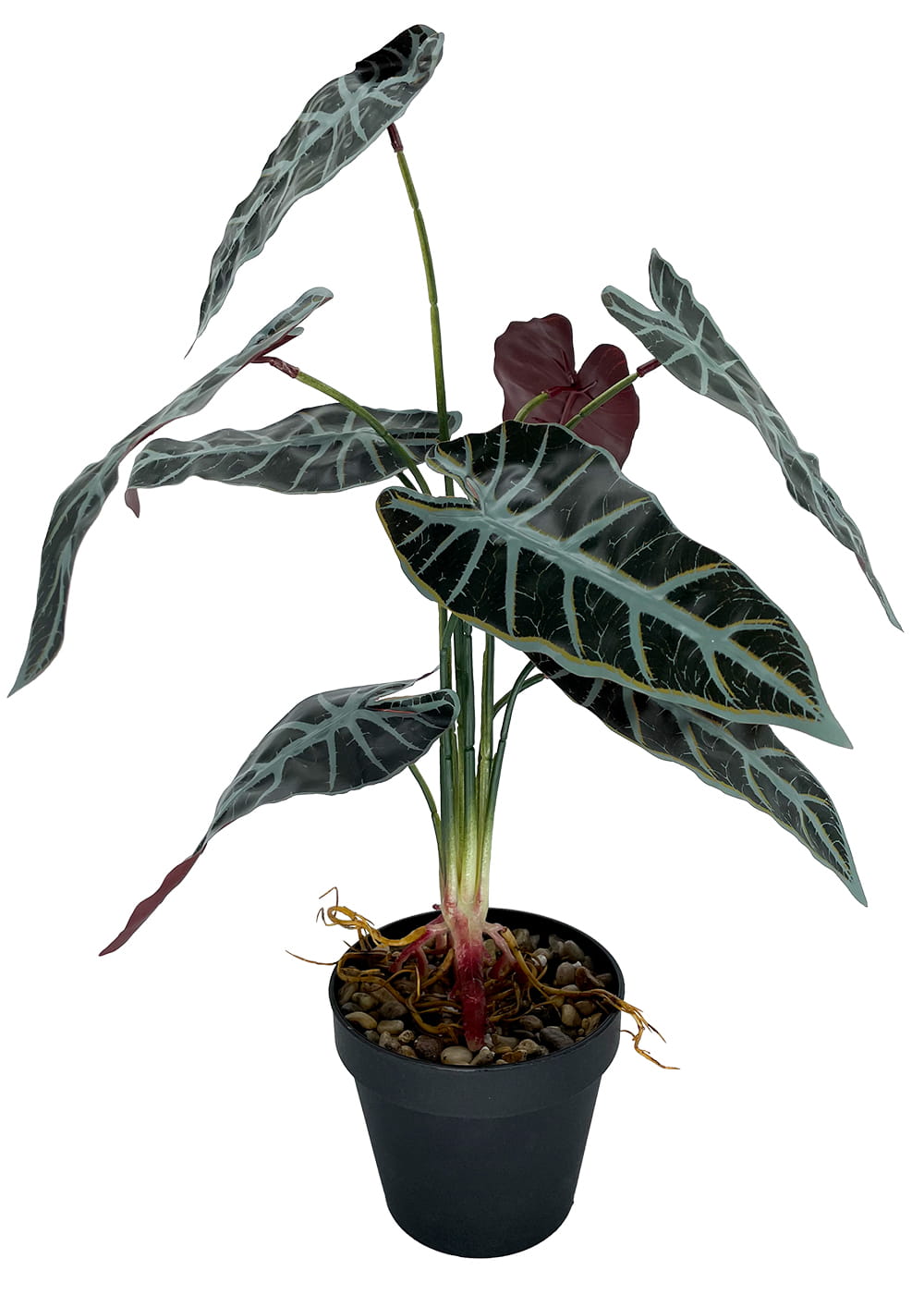 Plante artificielle Alocasia 47 cm – Green Designers