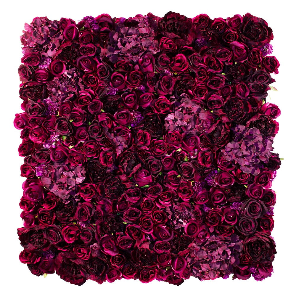 Mur de roses American Dream – Green Designers