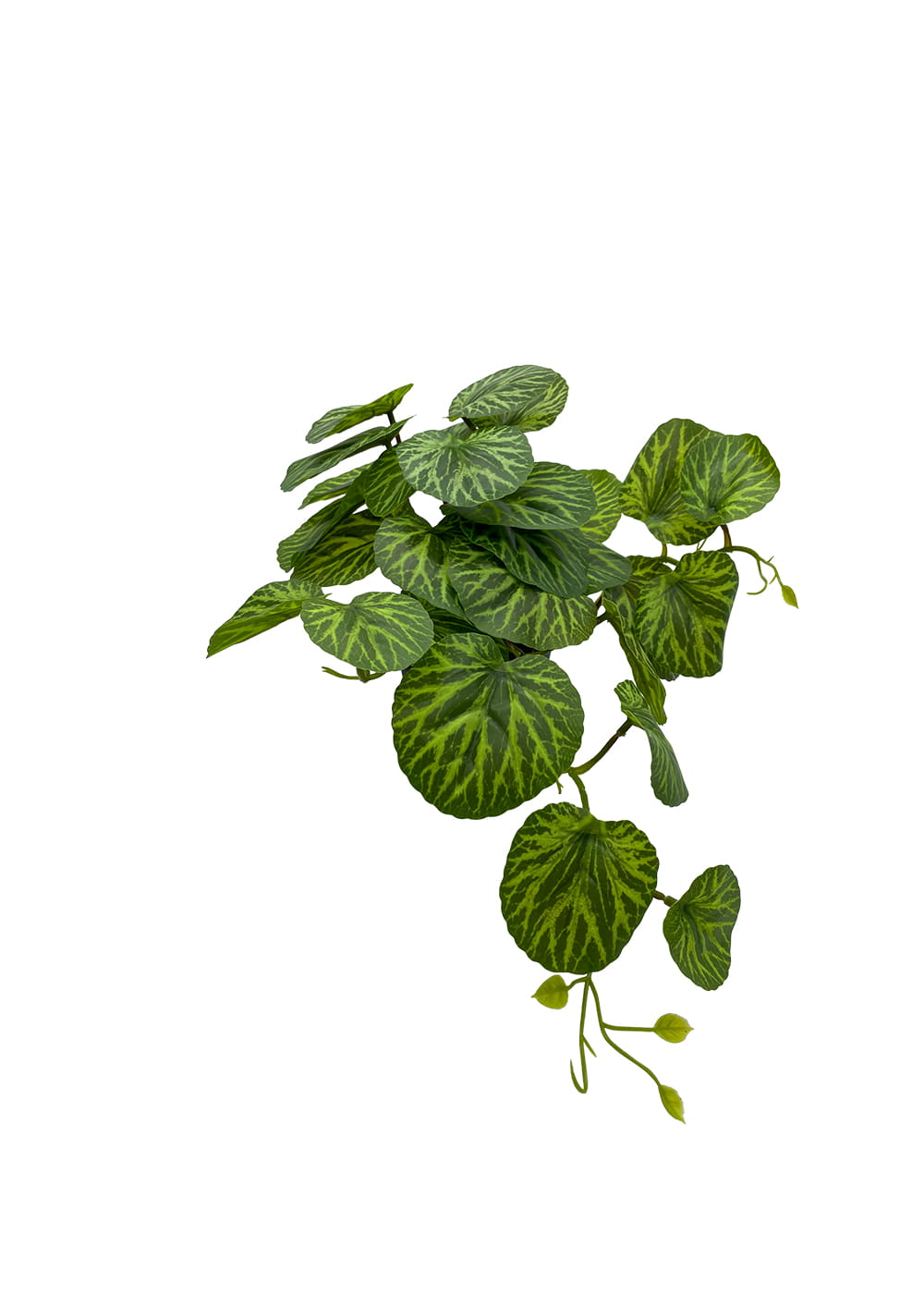 Plante Pilea artificielle 37 cm