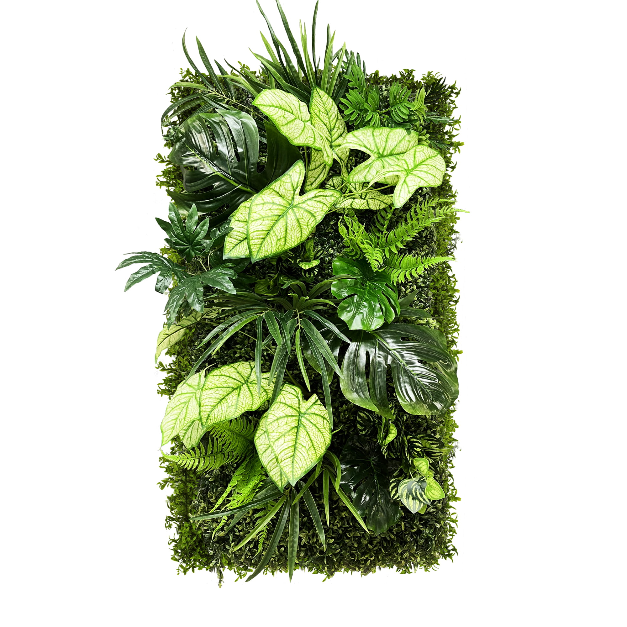 Jardin vertical de la forêt de Caladium – Green Designers