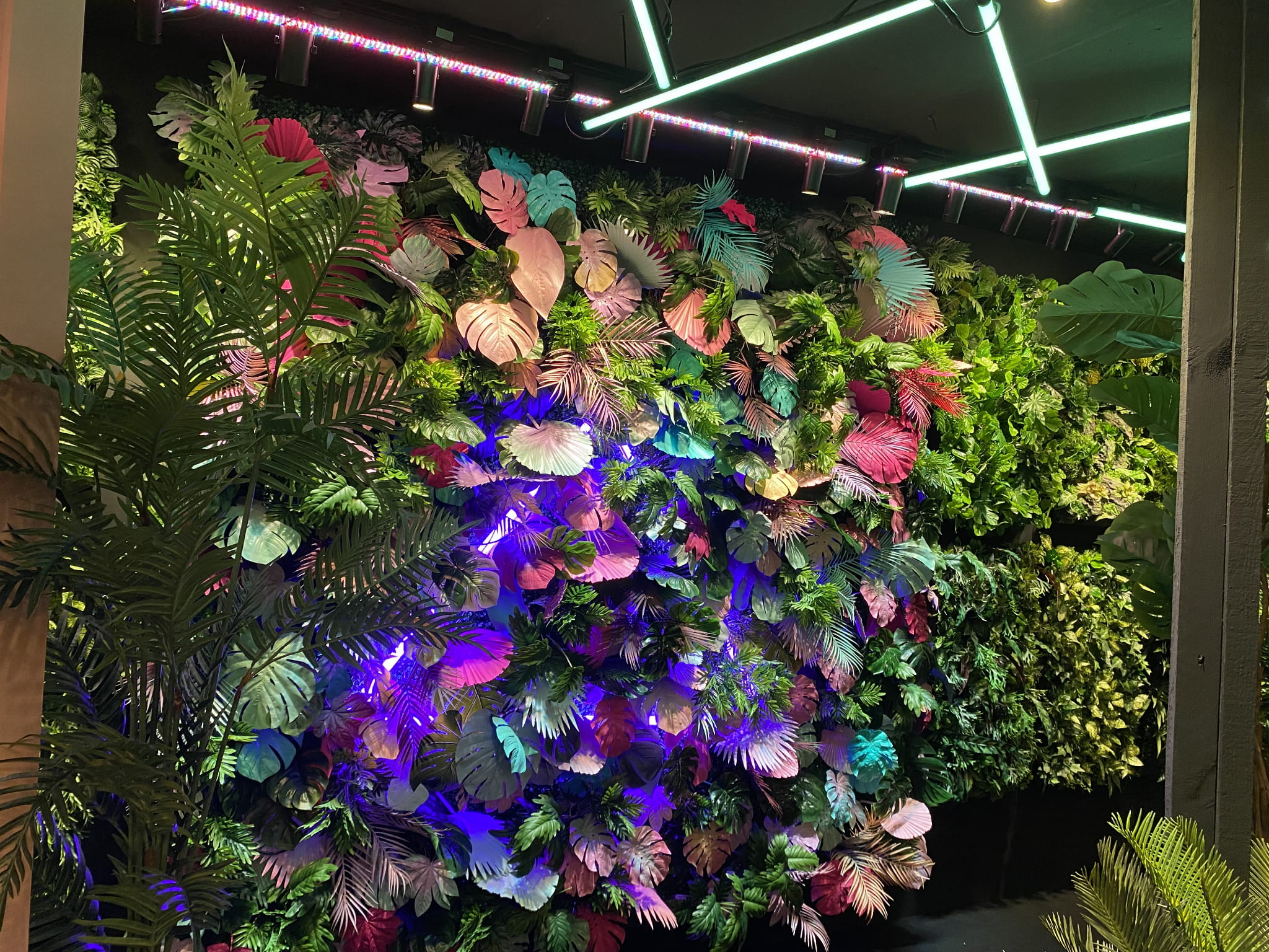 Jardin vertical Mamba – Green Designers