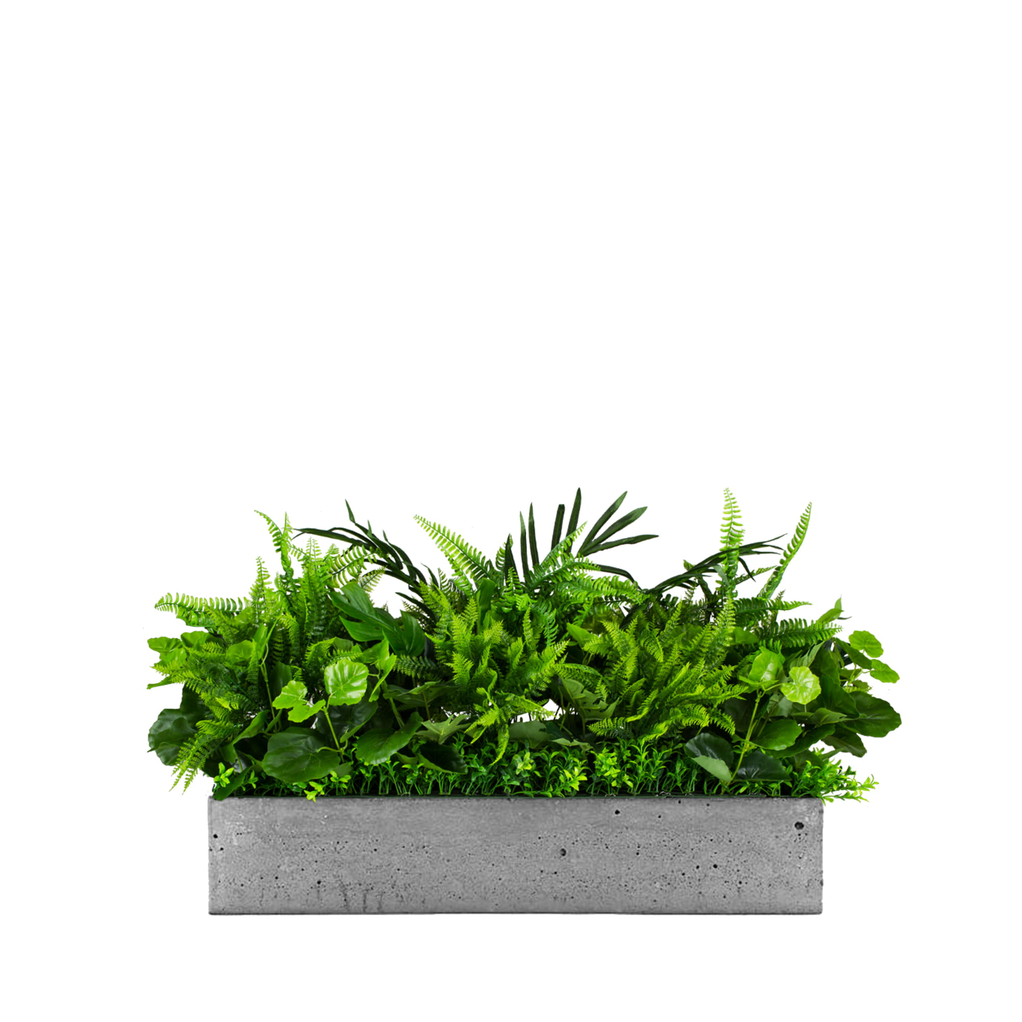 Composition pour le pot White Sparrow