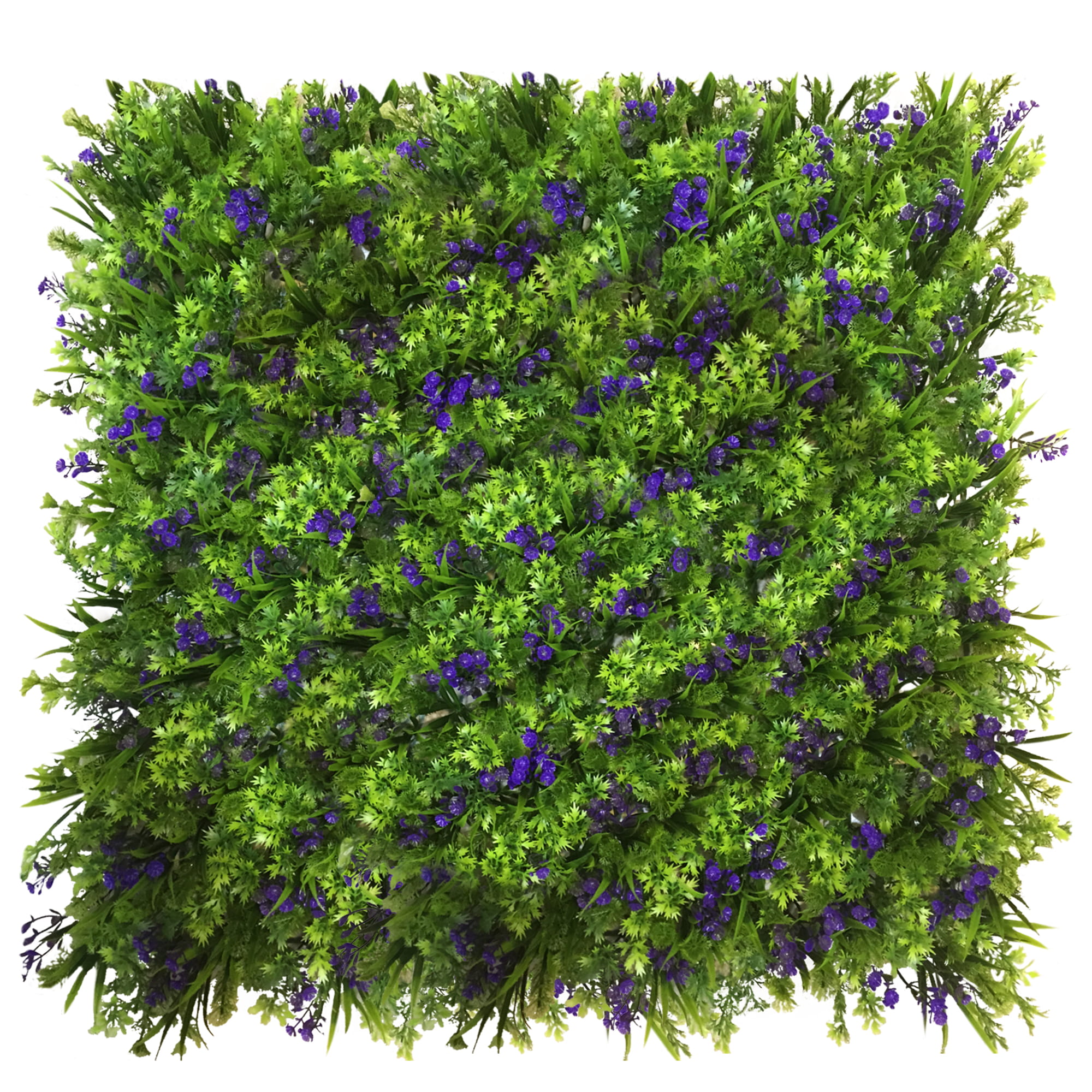 Mur végétal bleuet 50x50cm
