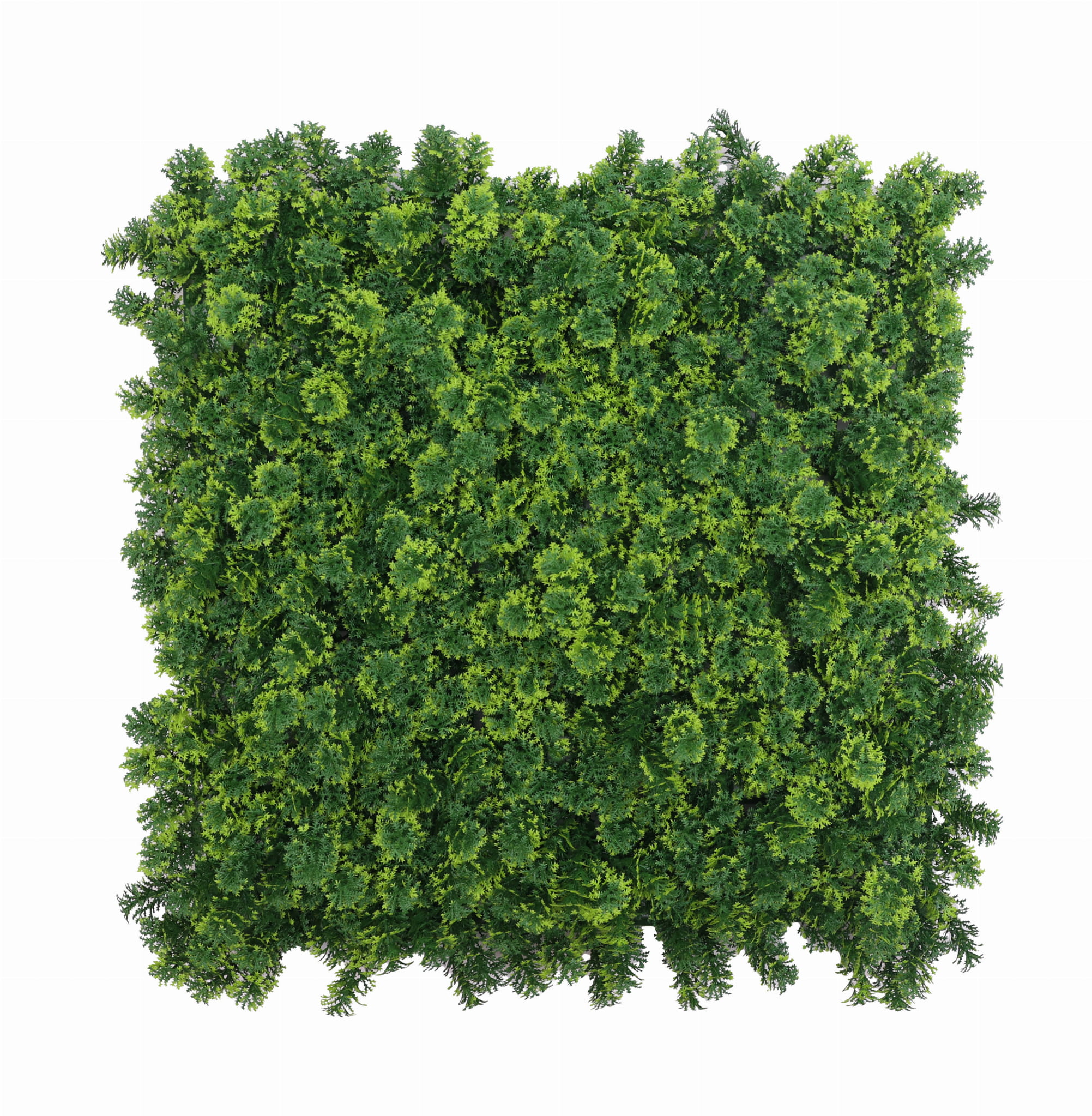 Tapis vert artificiel Ptérygion FR - B UV 50x50cm – Green Designers