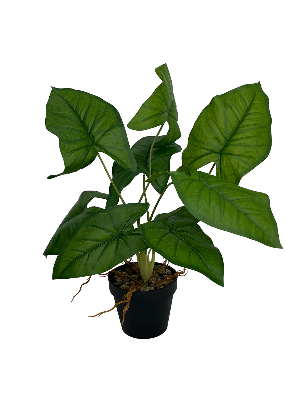 Plante Syngonium artificielle 56 cm