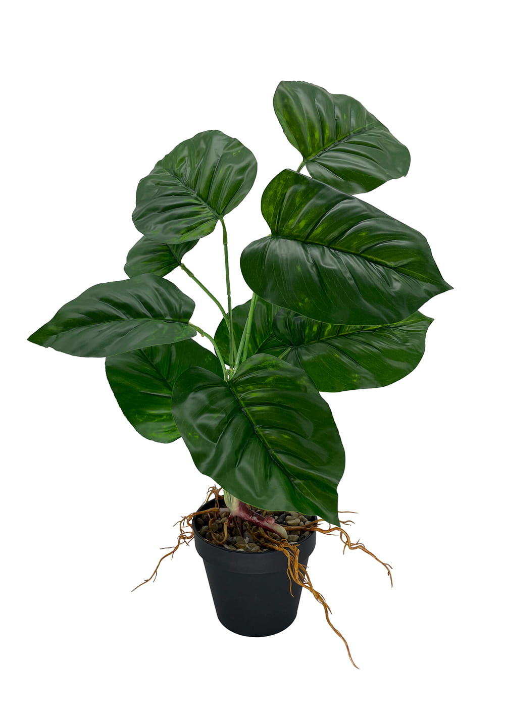 Plante d'arrow-root artificielle 44 cm – Green Designers