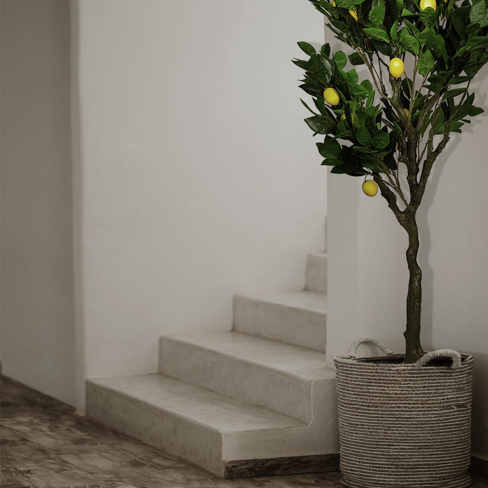 Citronnier artificiel 160 cm – Green Designers