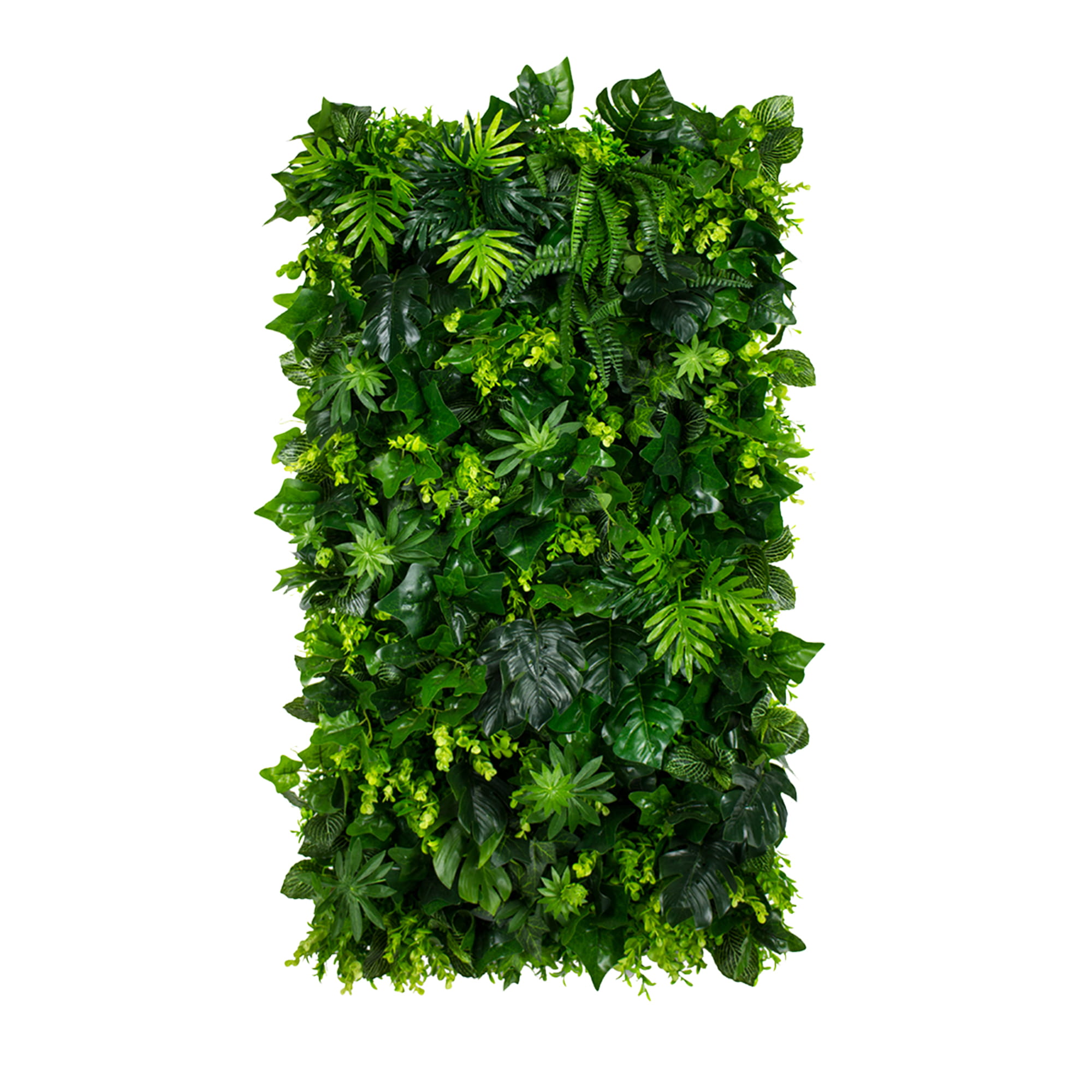 Jardin vertical Coeur de Jungle