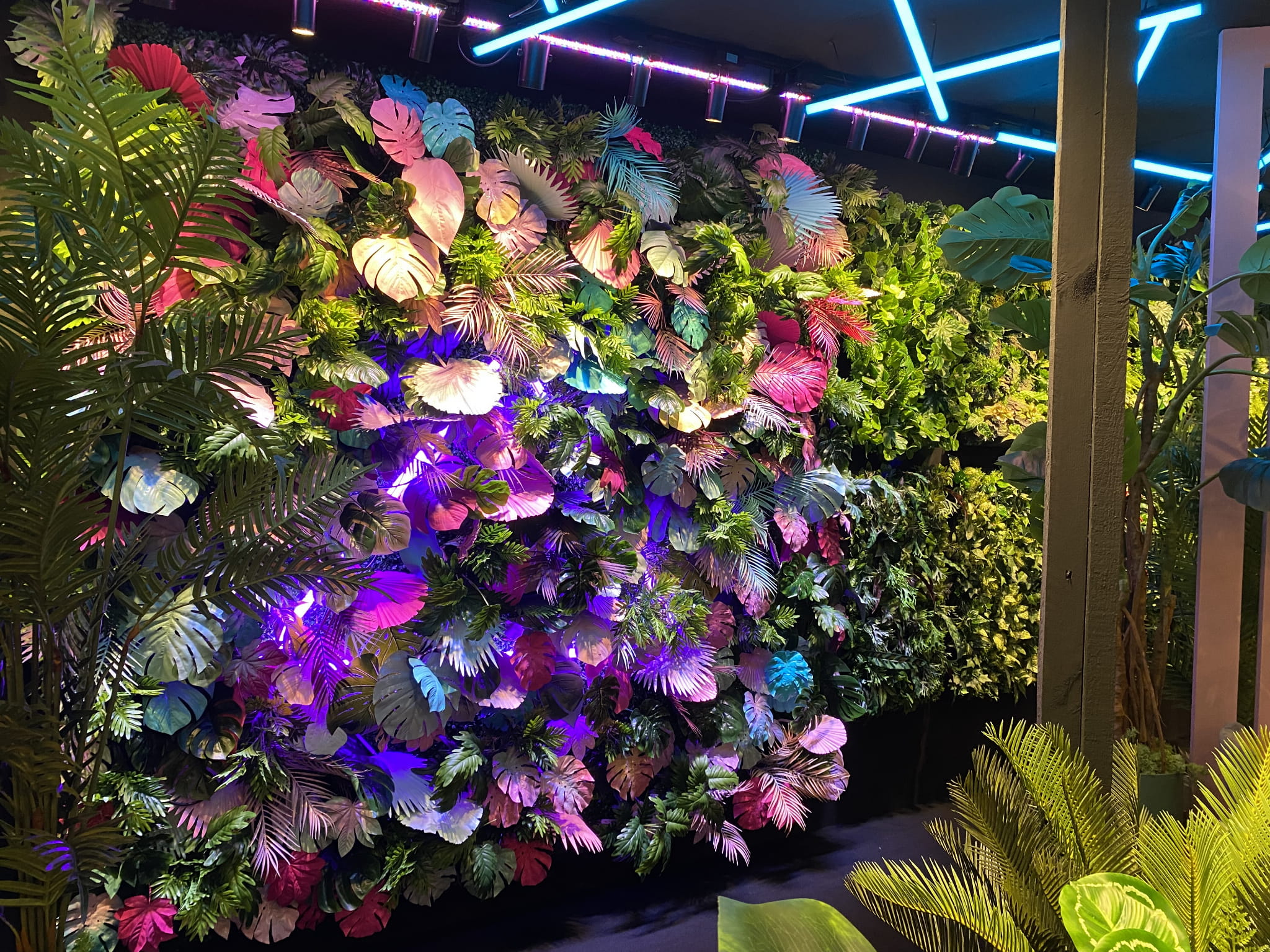 Jardin vertical Mamba – Green Designers