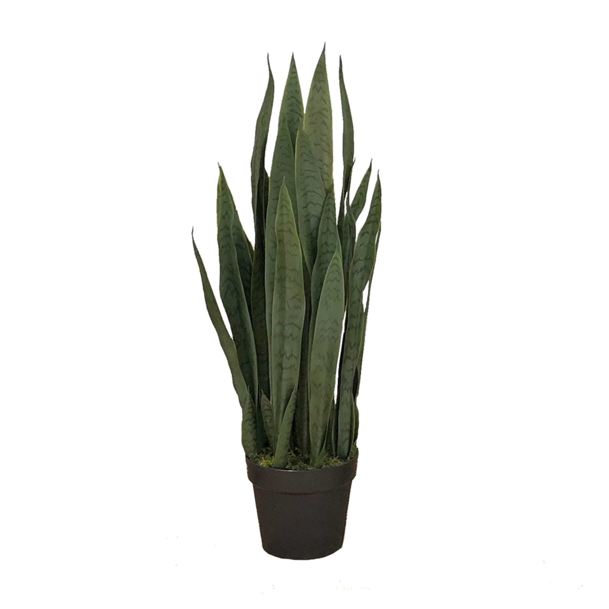 Plante artificielle Sansevieria Zelenica 90cm