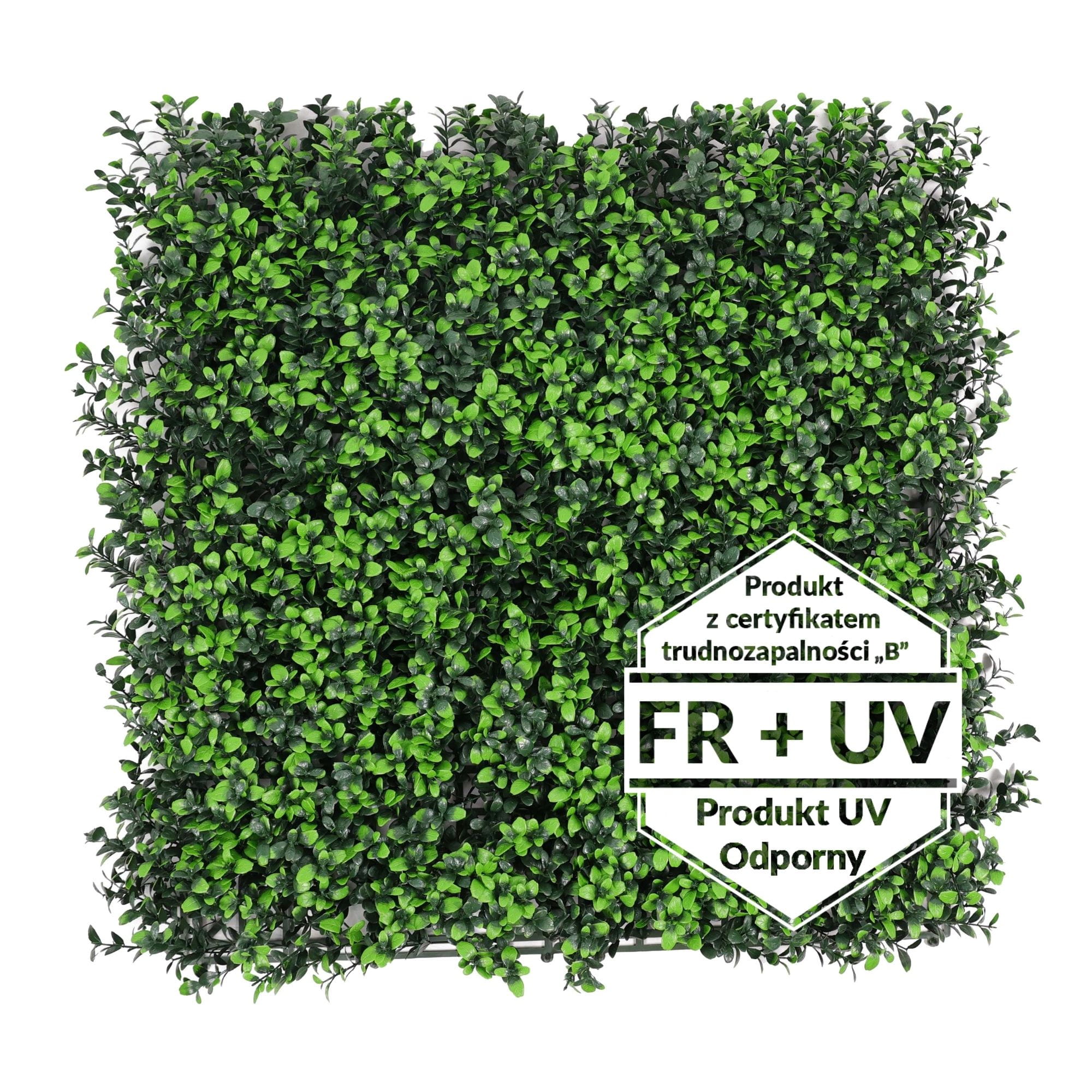 Tapis vert artificiel Myrtille FR UV - B 50x50cm