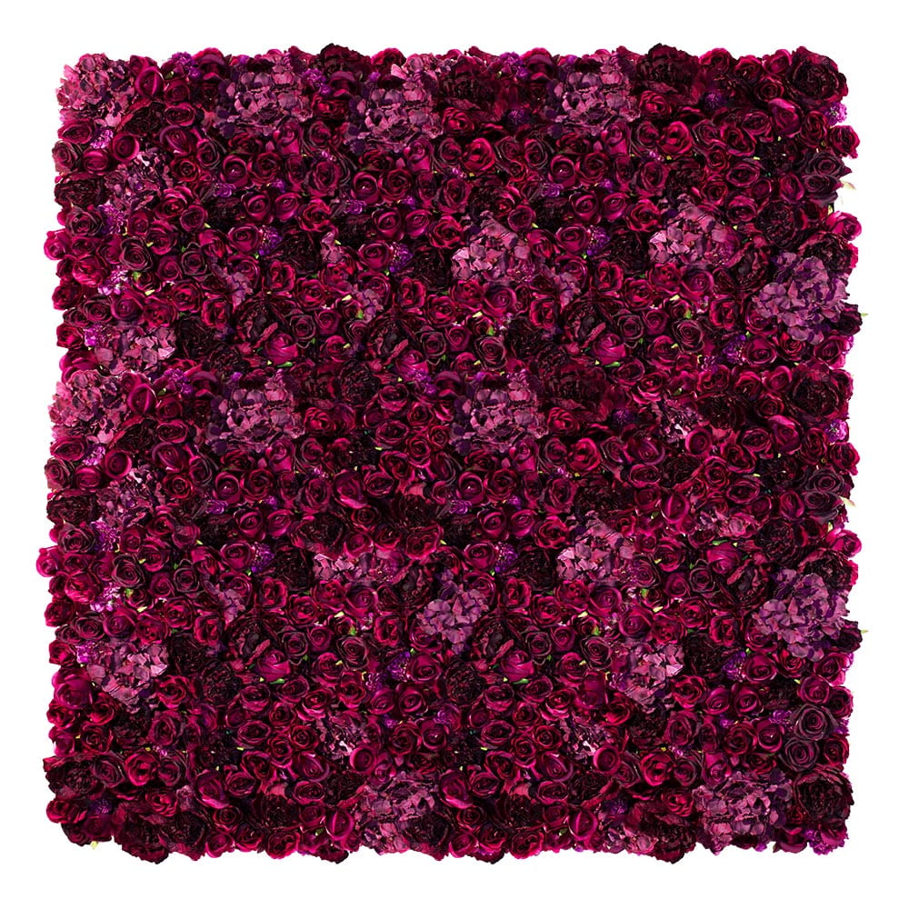 Mur de roses American Dream – Green Designers