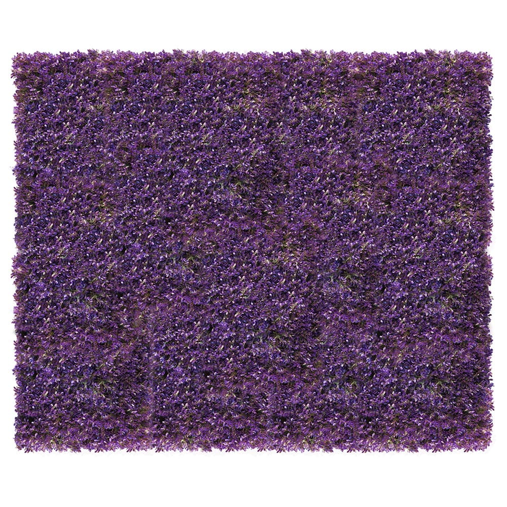 Mur de plantes Violet fuchsia 50x50cm – Green Designers