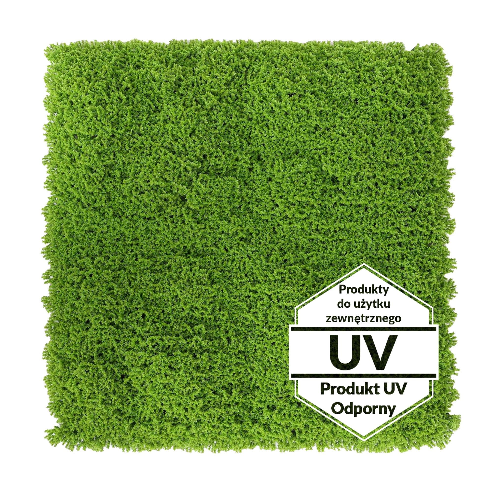 Tapis vert artificiel Runowiec UV 50x50cm