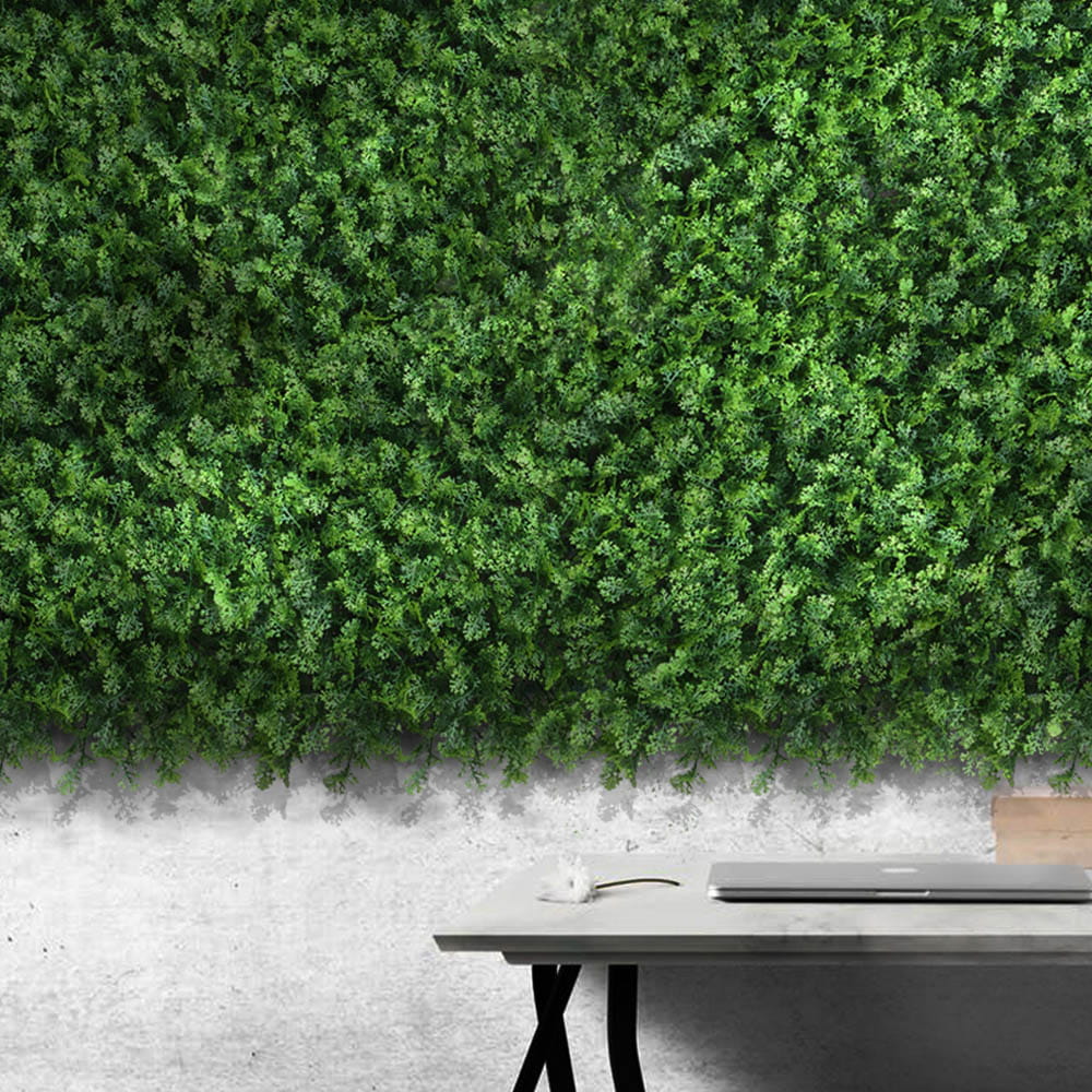 Mur végétal Thuya 50x50cm – Green Designers