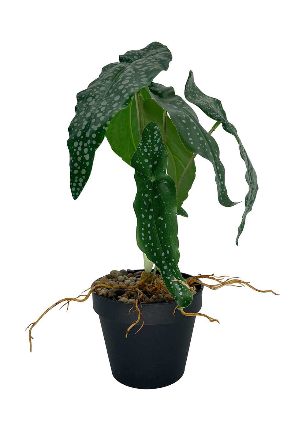 Plante Bégonia artificielle 26 cm – Green Designers