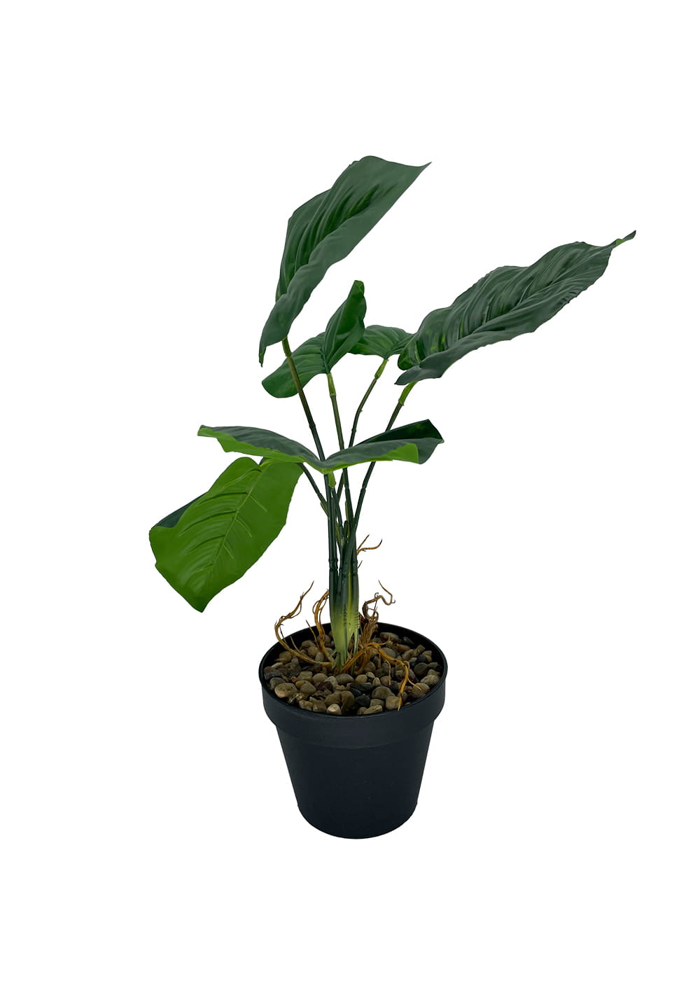 Plante d'arrow-root artificielle 36 cm – Green Designers