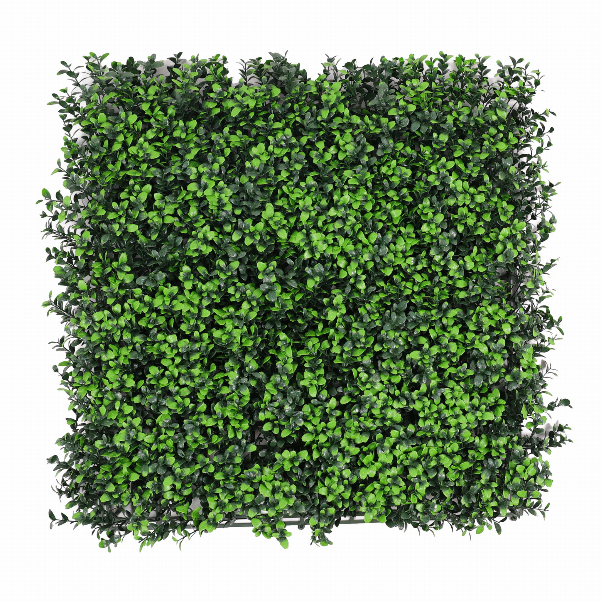 Tapis vert artificiel Myrtille FR UV - B 50x50cm – Green Designers