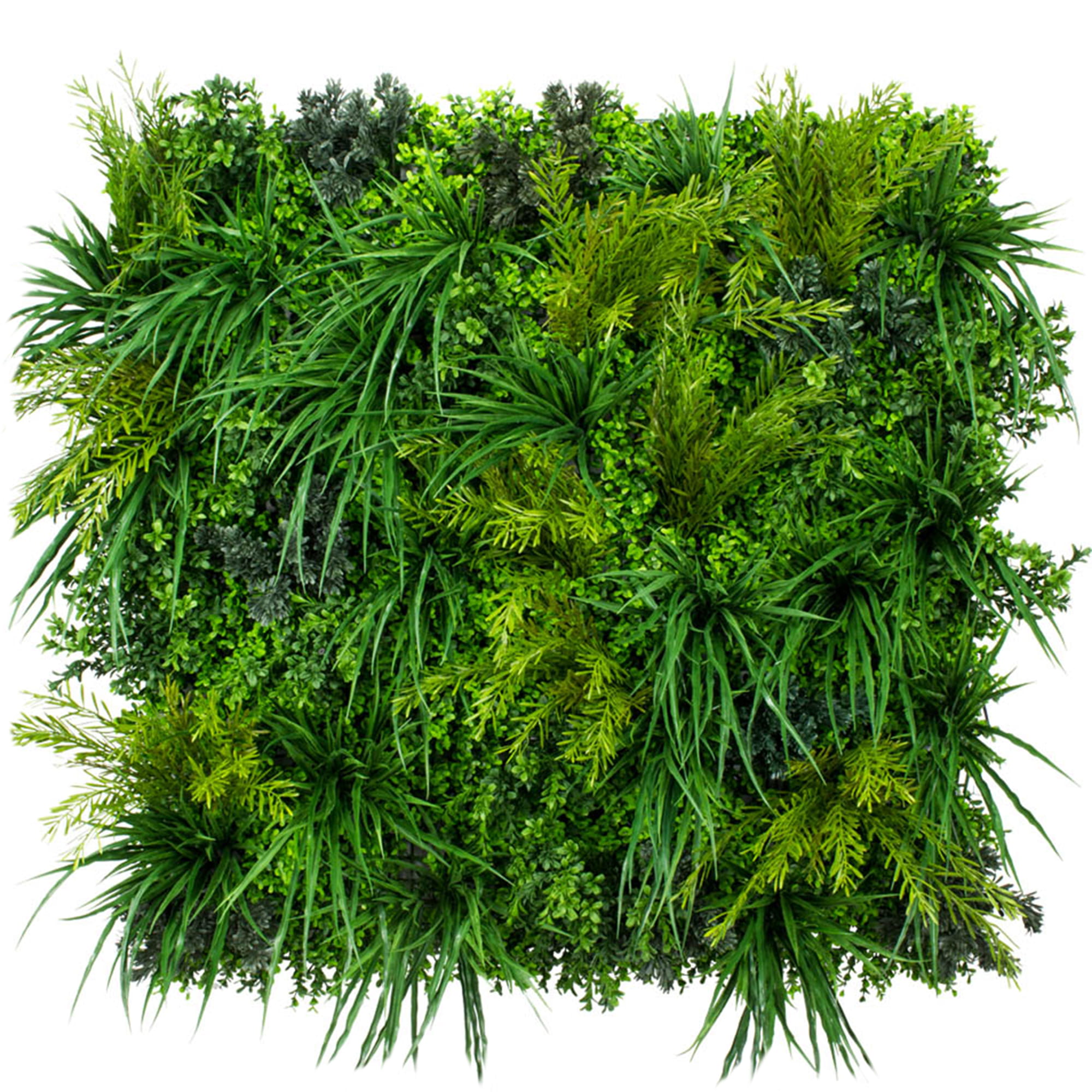 Crispseed FR UV-C jardin vertical – Green Designers