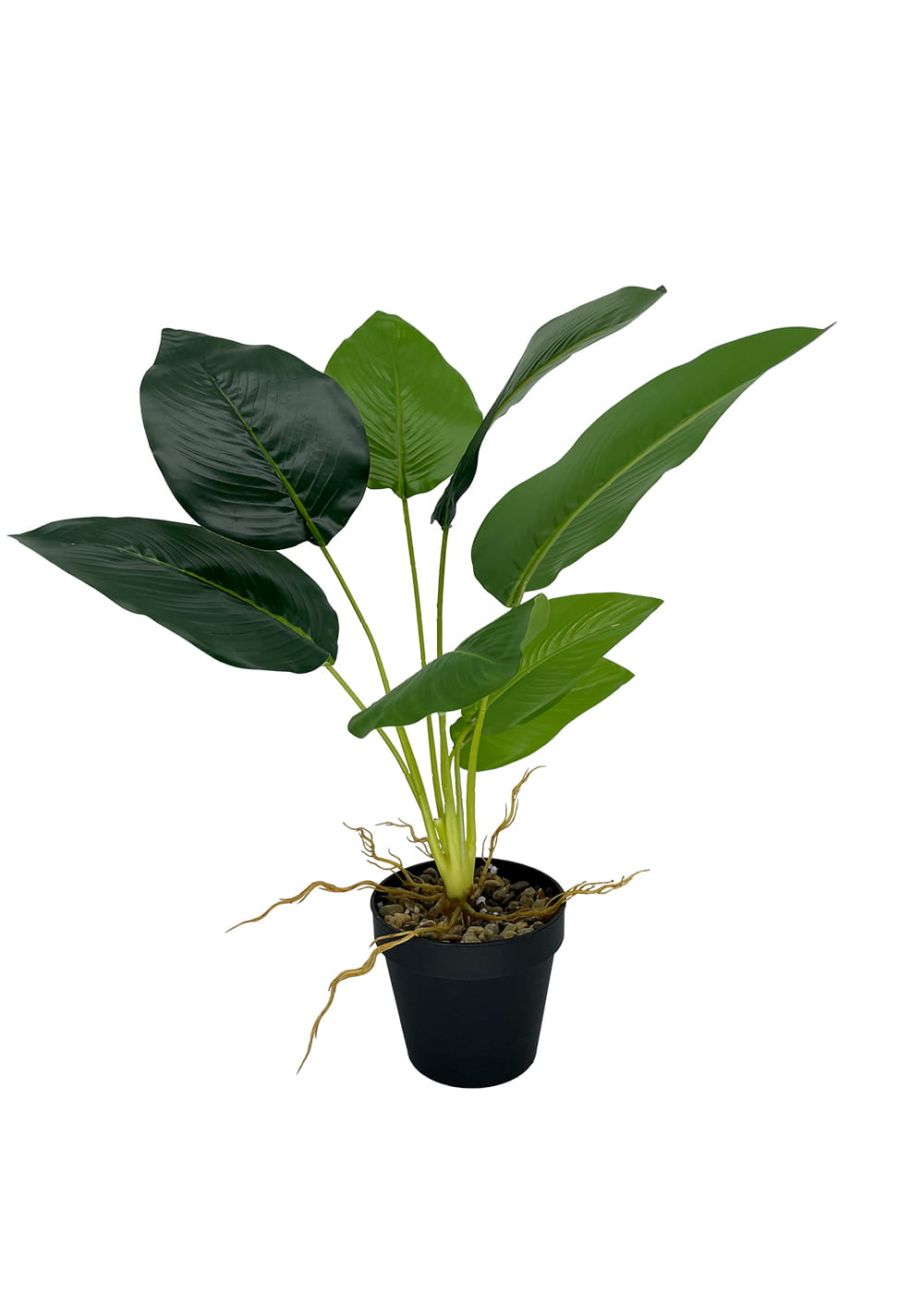 Bananier artificiel 55 cm – Green Designers