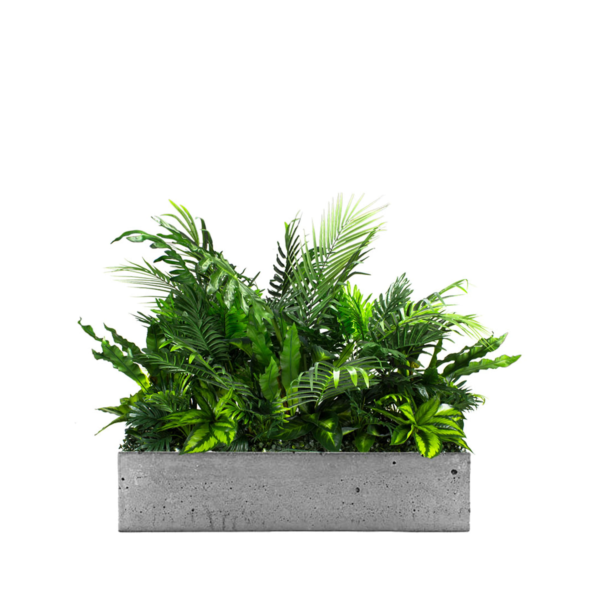 Remplir le pot Season Surf avec des plantes – Green Designers