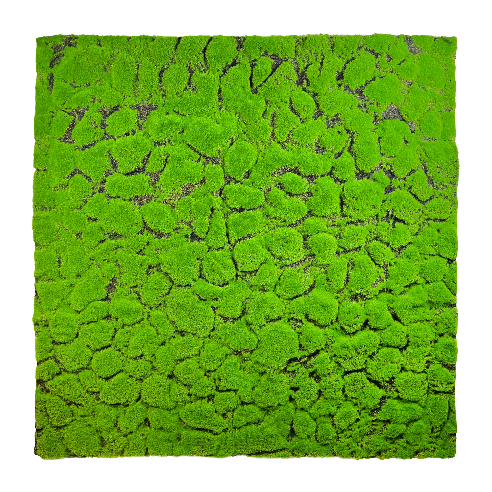 Mousse de coussin artificielle 100x100cm – Green Designers