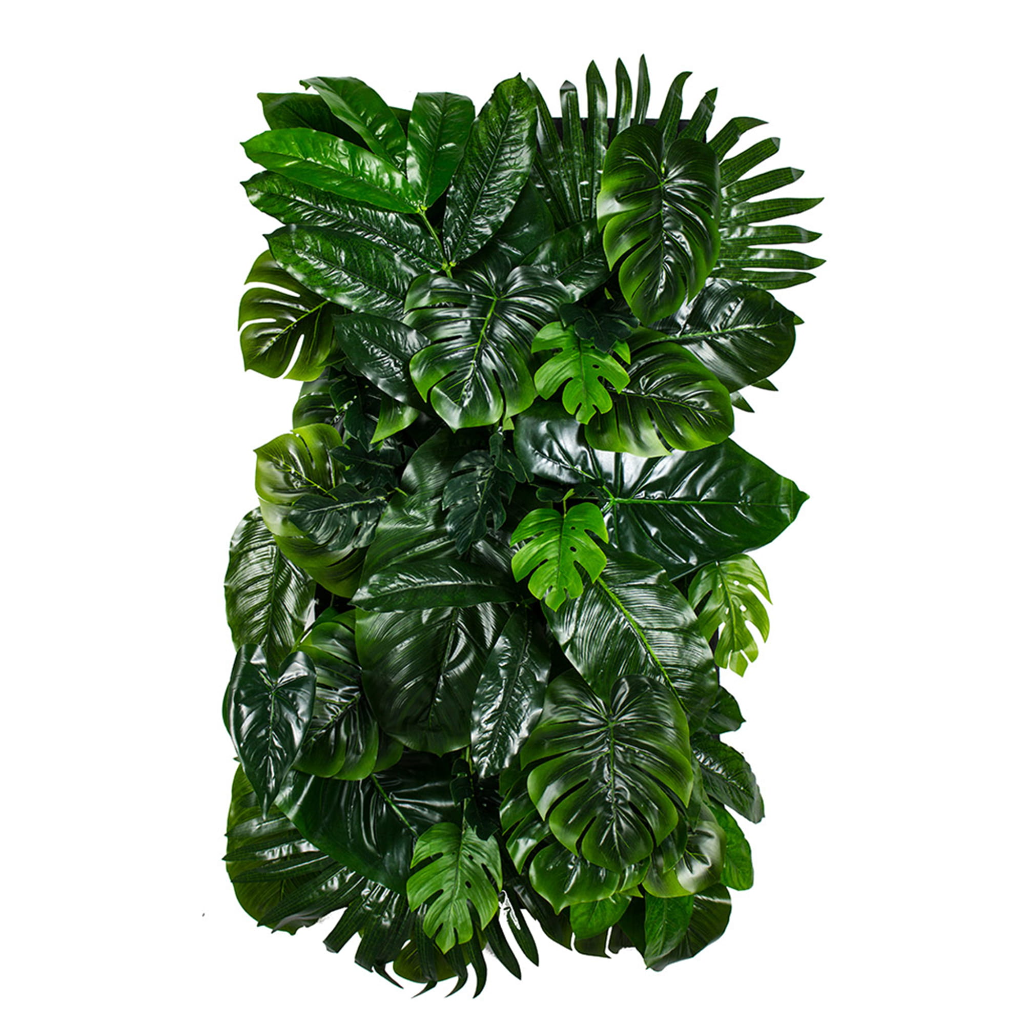 Jardin vertical Monstera Madness