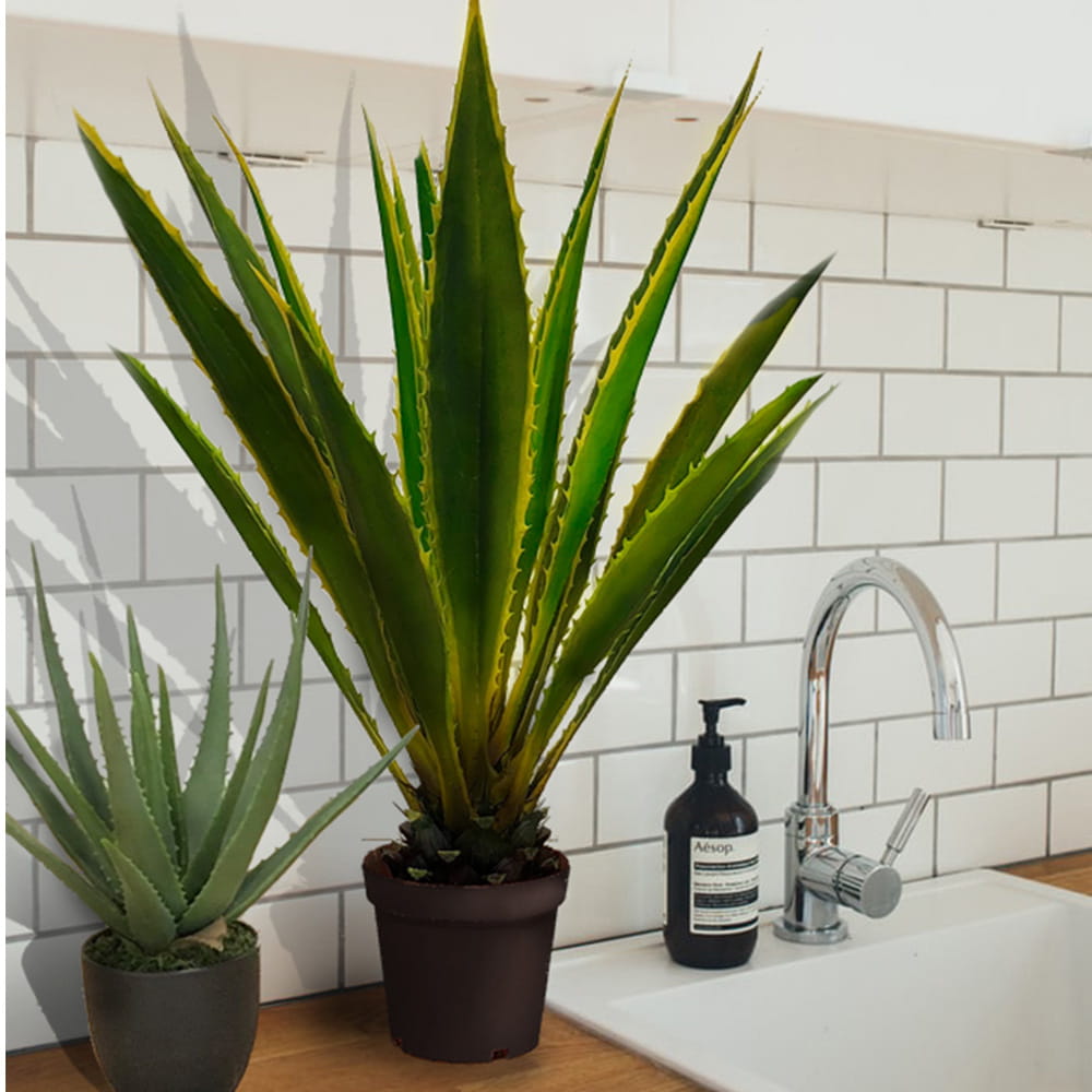 Plante décorative Agave Americana 120 cm – Green Designers