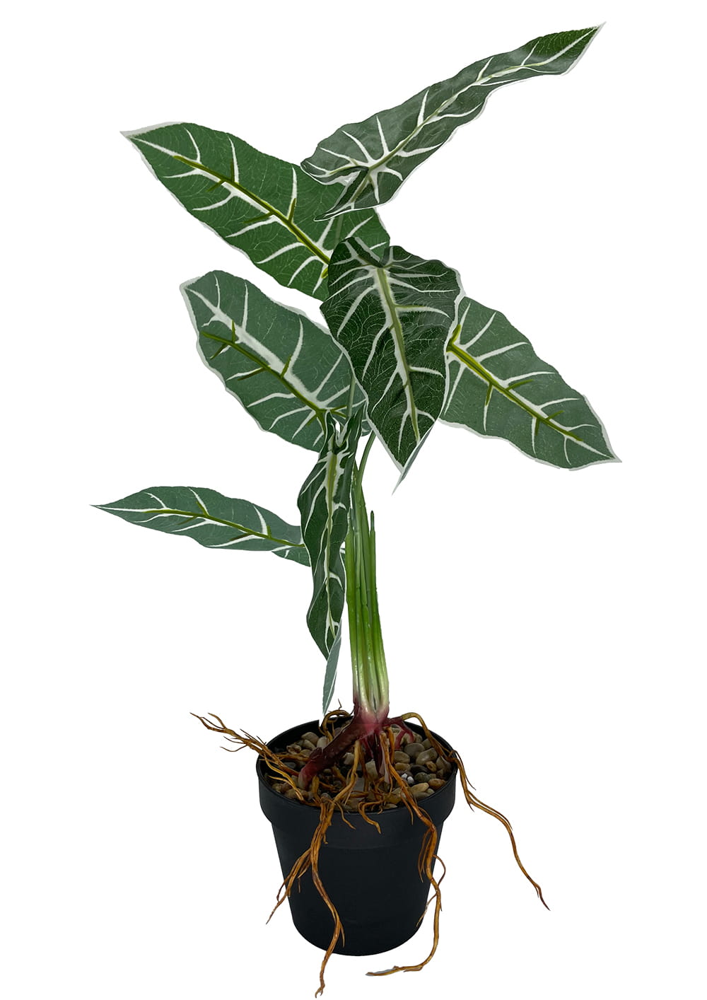 Plante artificielle Alocasia Amazonica 58 cm – Green Designers