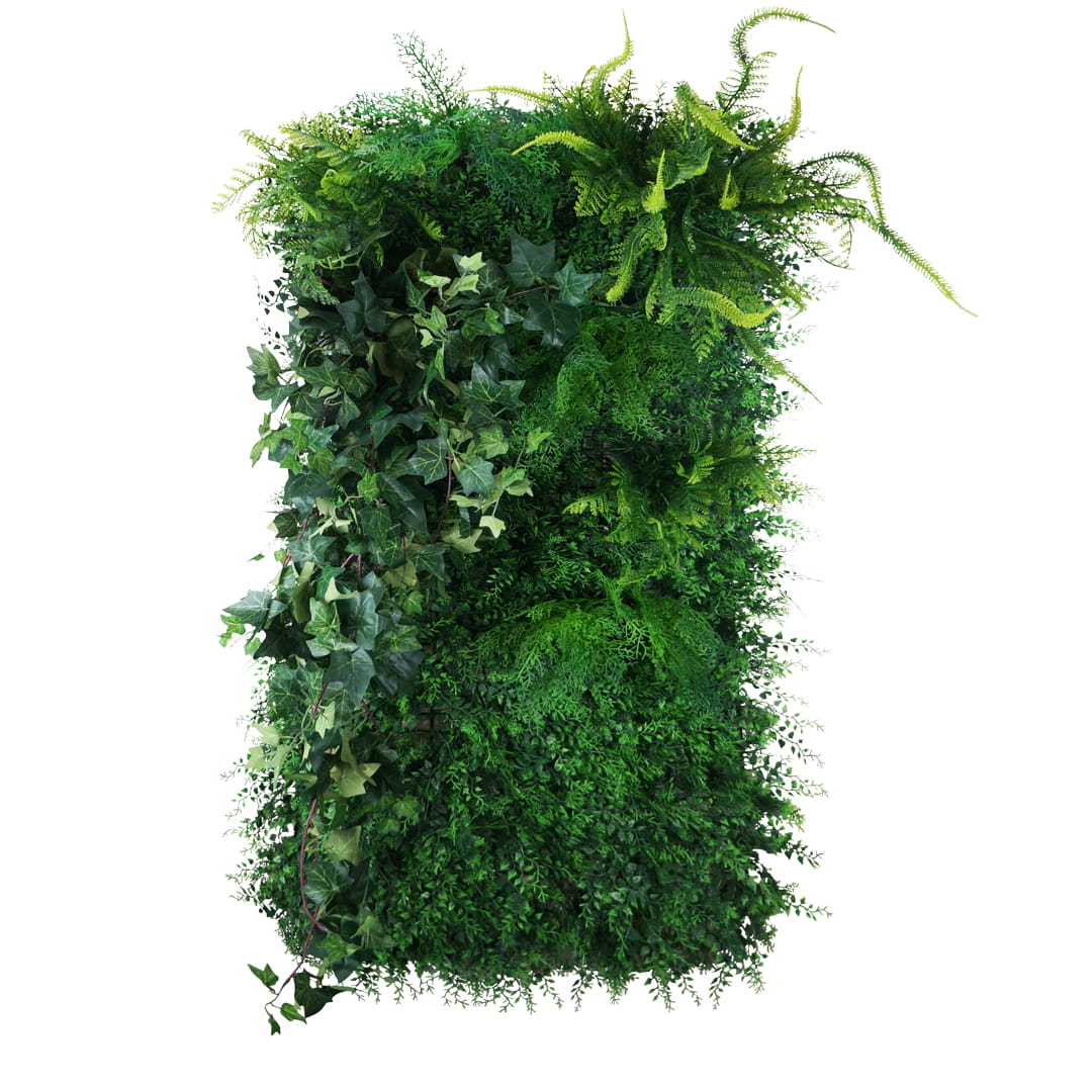 Jardin vertical sombre et moussu