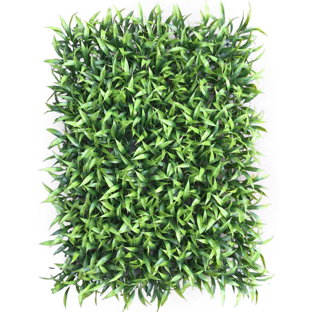 Mur végétal Celozja 40x60cm
