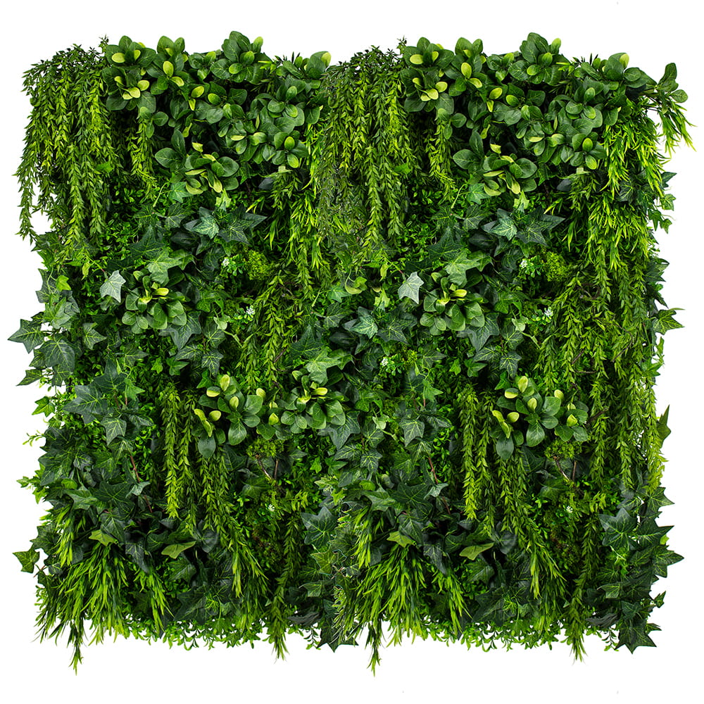 Jardin vertical de lierre vert – Green Designers