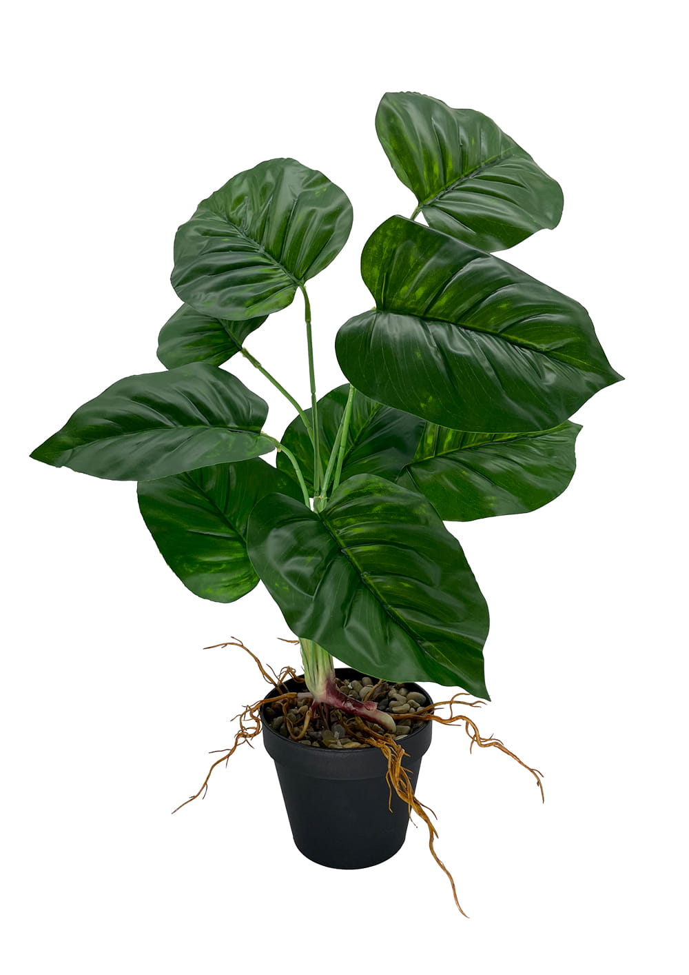 Plante d'arrow-root artificielle 44 cm – Green Designers